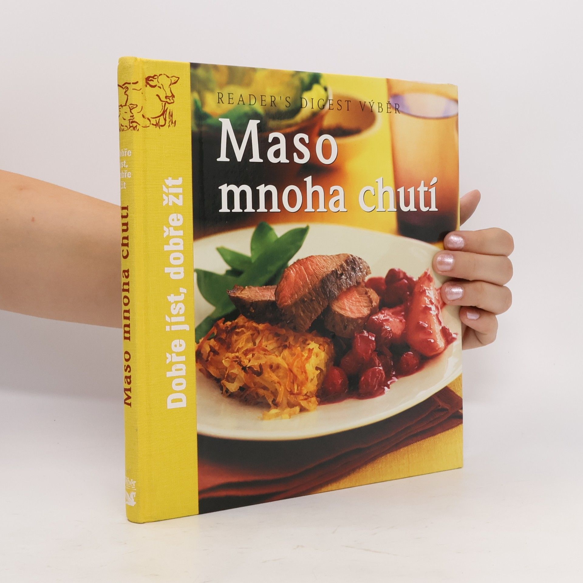 Kolektiv autorů Maso mnoha chutí