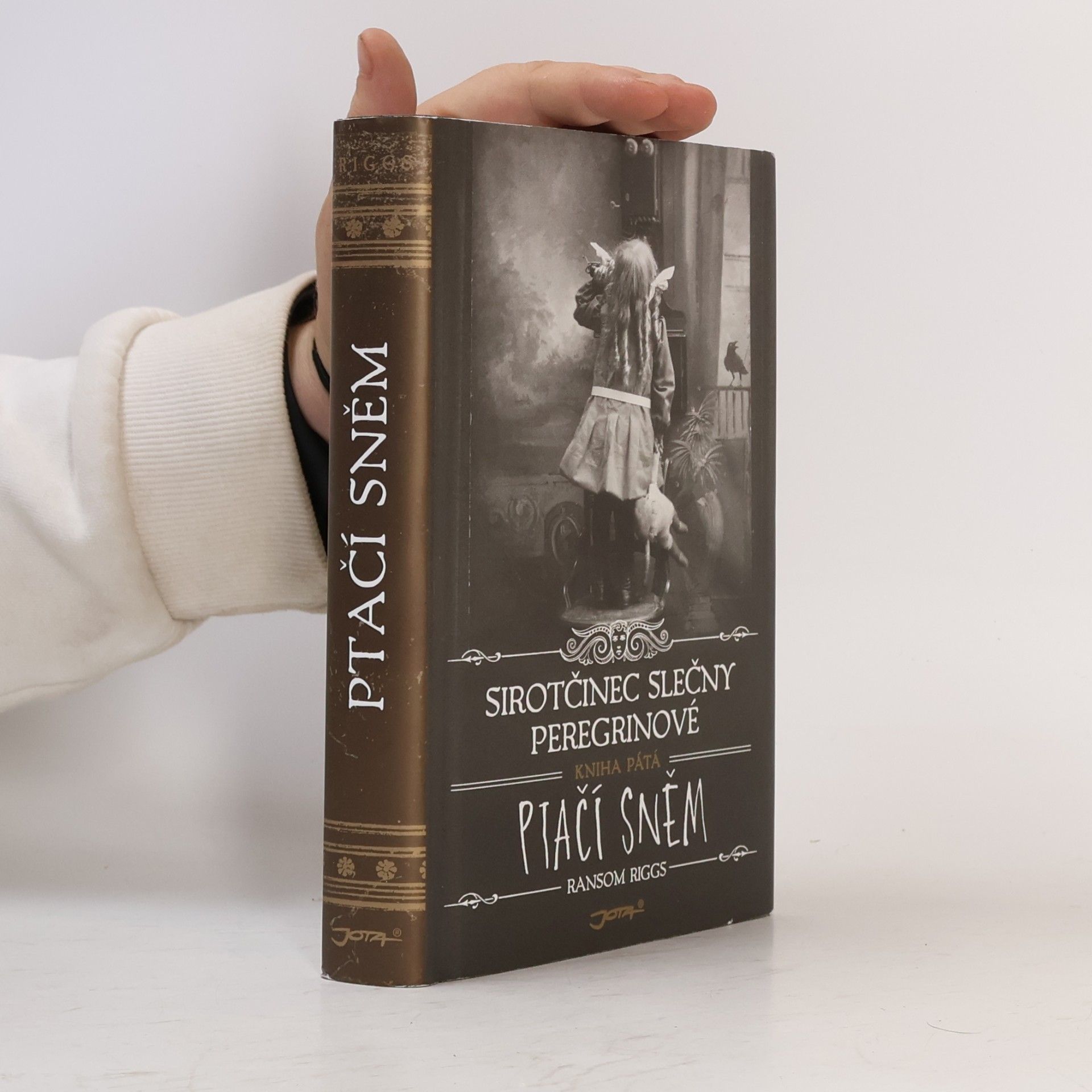 Ransom Riggs Ptačí sněm