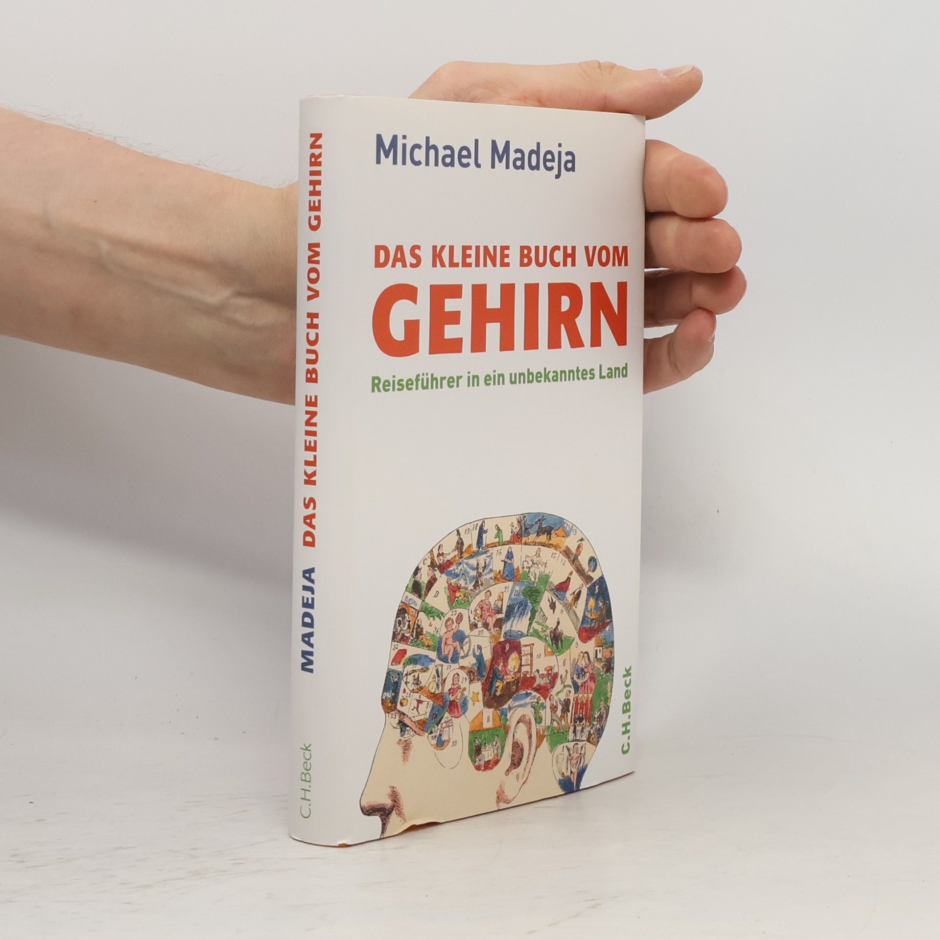 Michael Madeja Das kleine Buch vom Gehirn
