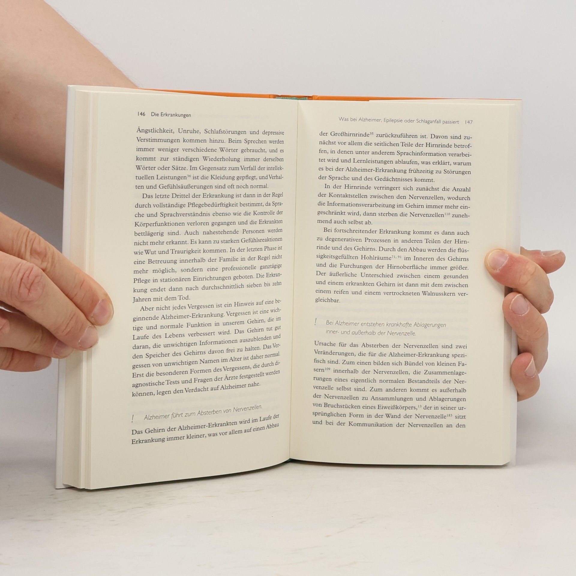 Michael Madeja Das kleine Buch vom Gehirn