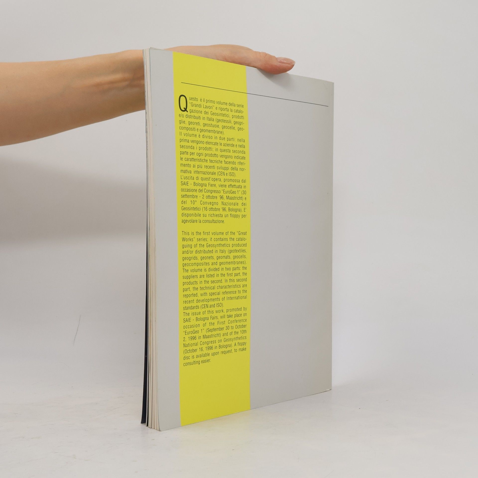 Autorenkollektiv Repertorio Italiano, Geosintetici. Italian Directory, Geosynthetics