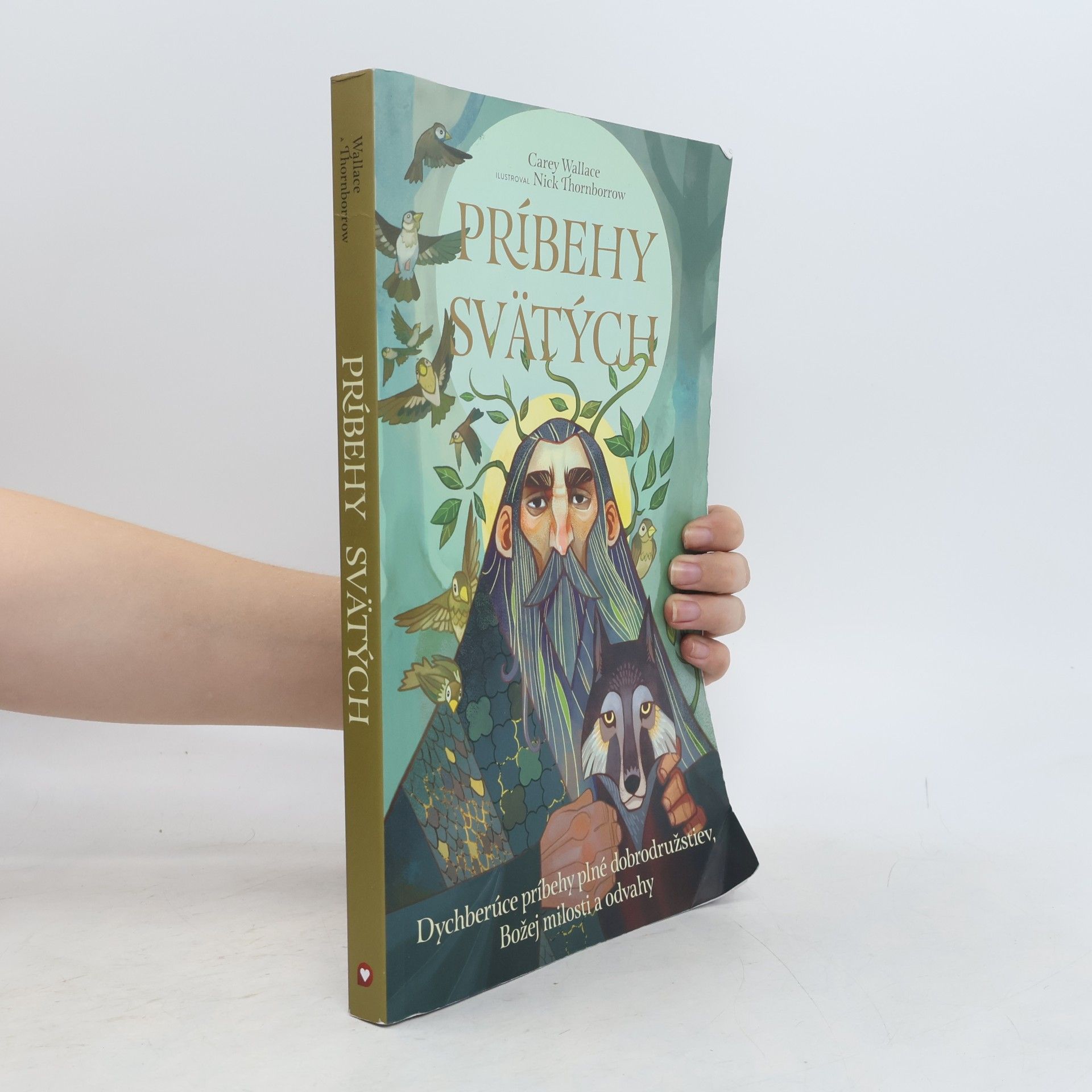 Príbehy svätých. Dychberúce príbehy plné dobrodružstiev, Božej milosti a odvahy