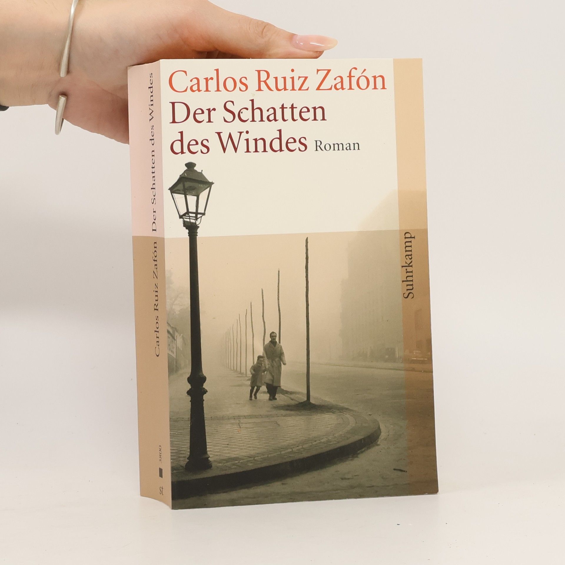 Carlos Ruiz Safon Der Schatten des Windes