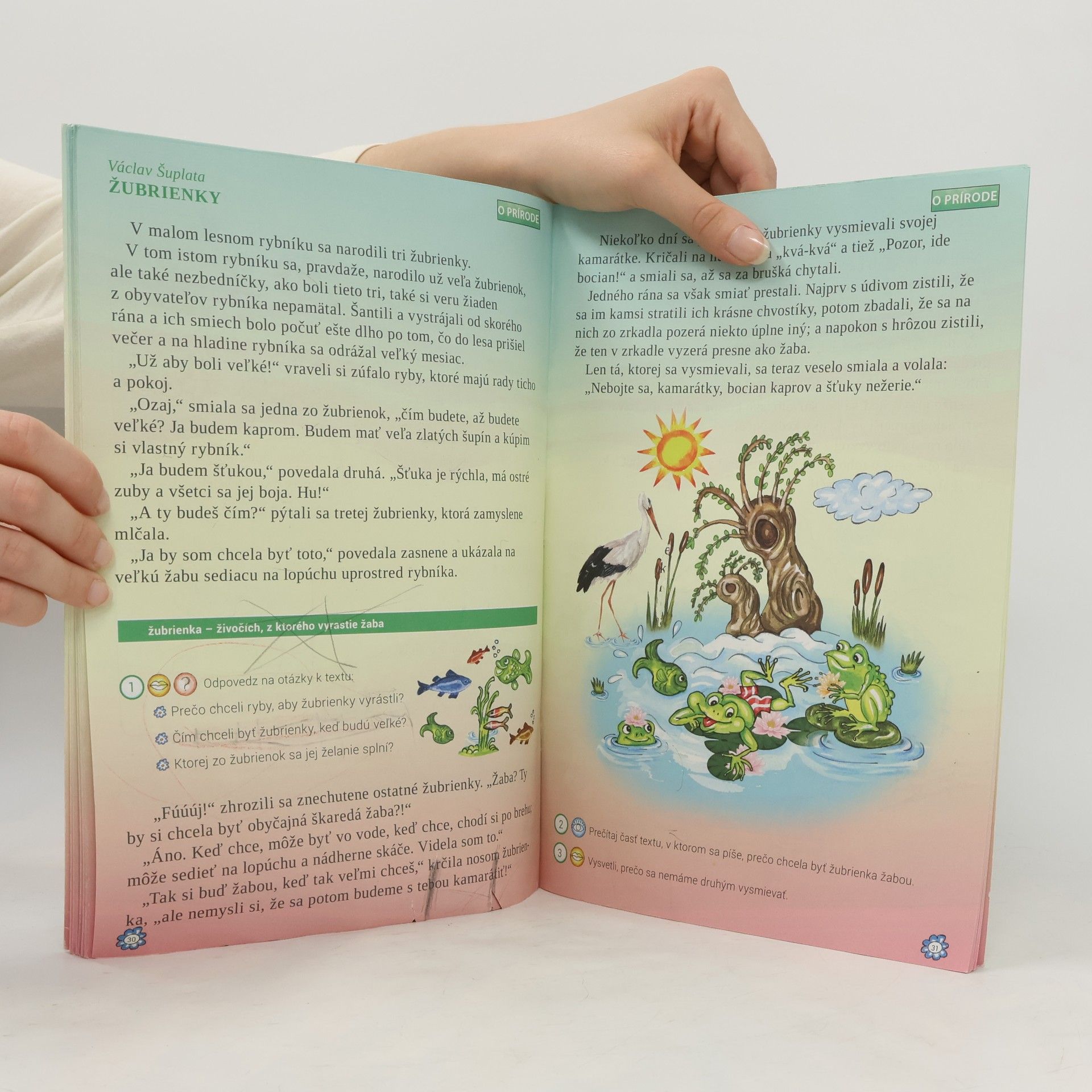 Autorenkollektiv Čítanka pre 1. ročník základných škôl