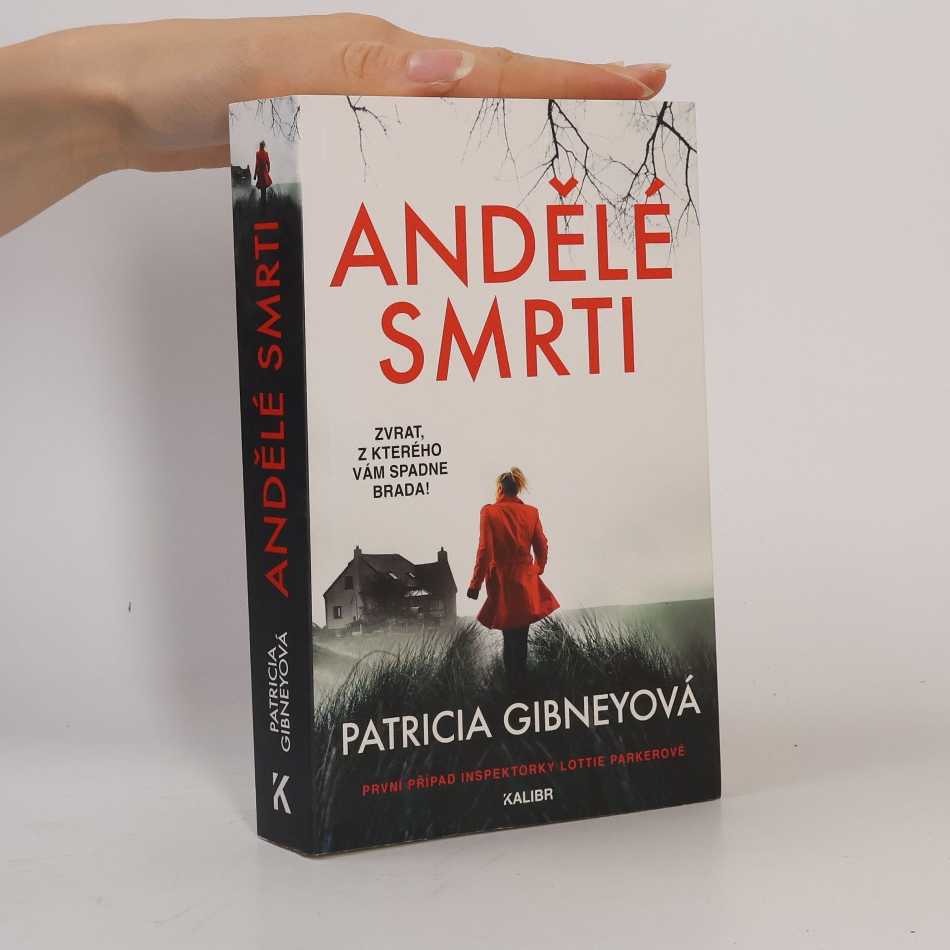 Patricia Gibney Andělé smrti