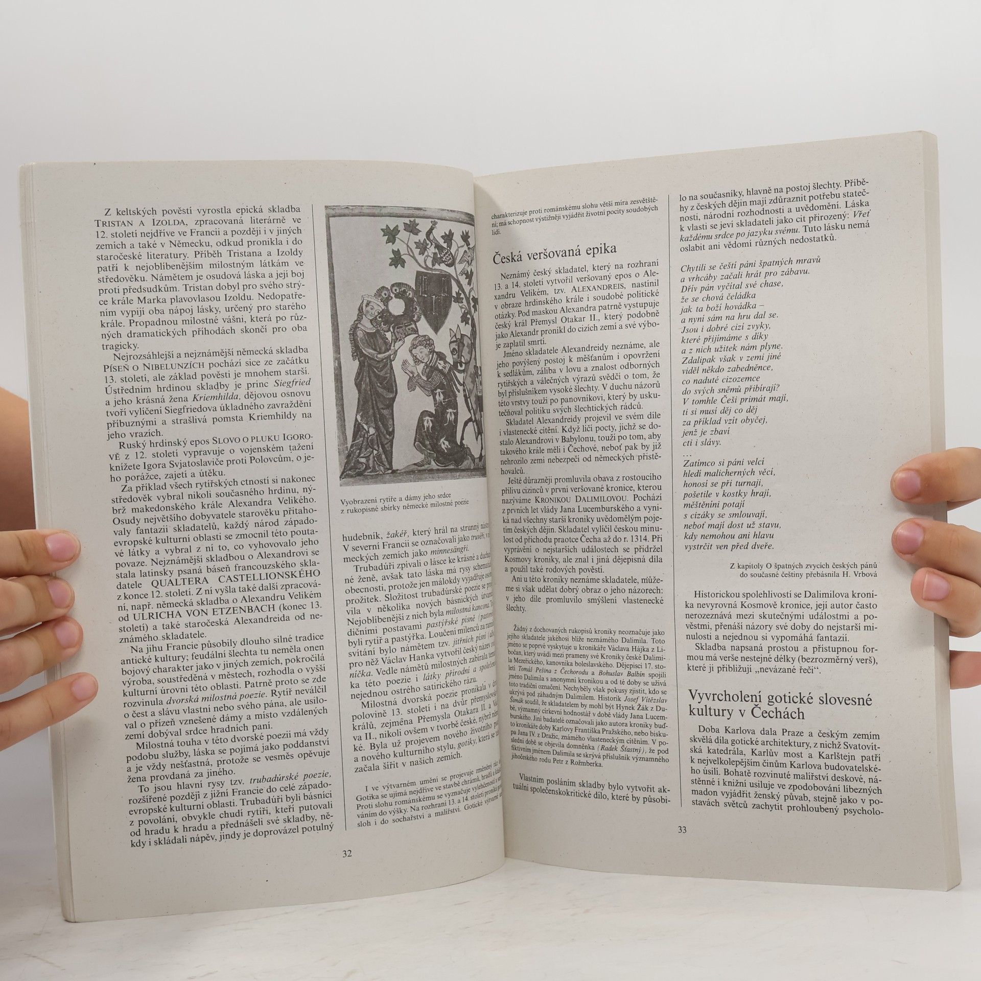 Bohuš Balajka Přehledné dějiny literatury I.