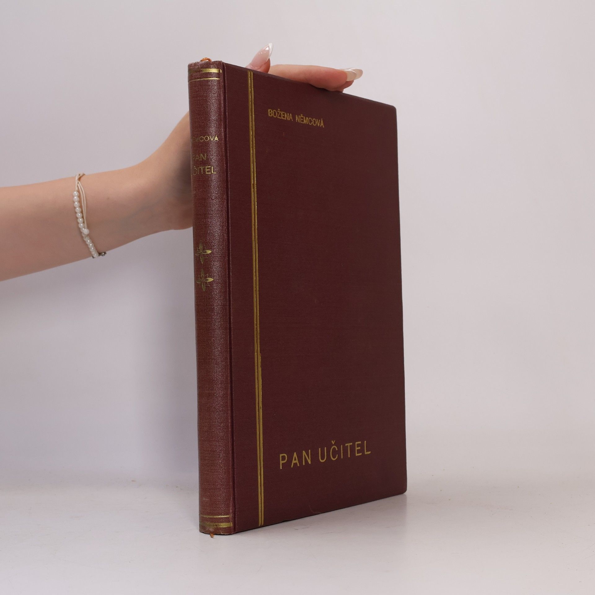 Božena Němcová Pan učitel a jiné povídky