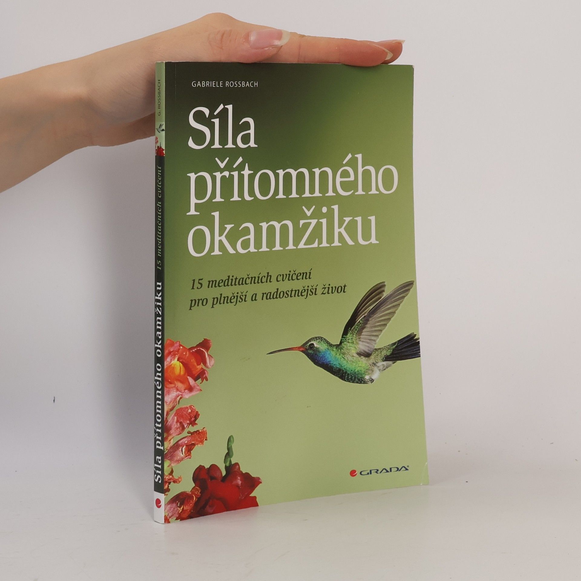 Síla přítomného okamžiku