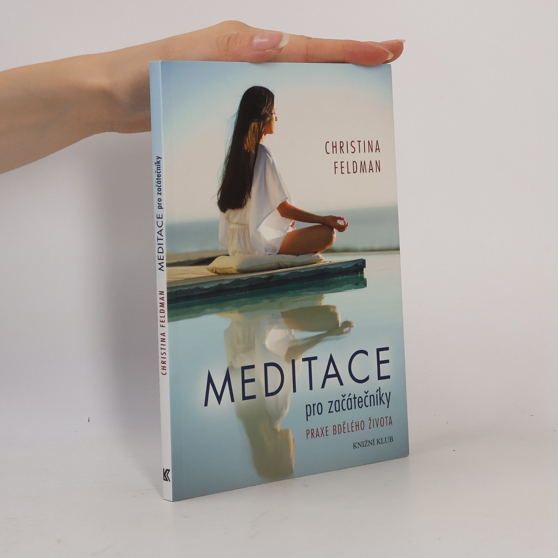 Christina Feldman Meditace pro začátečníky. Praxe bdělého života