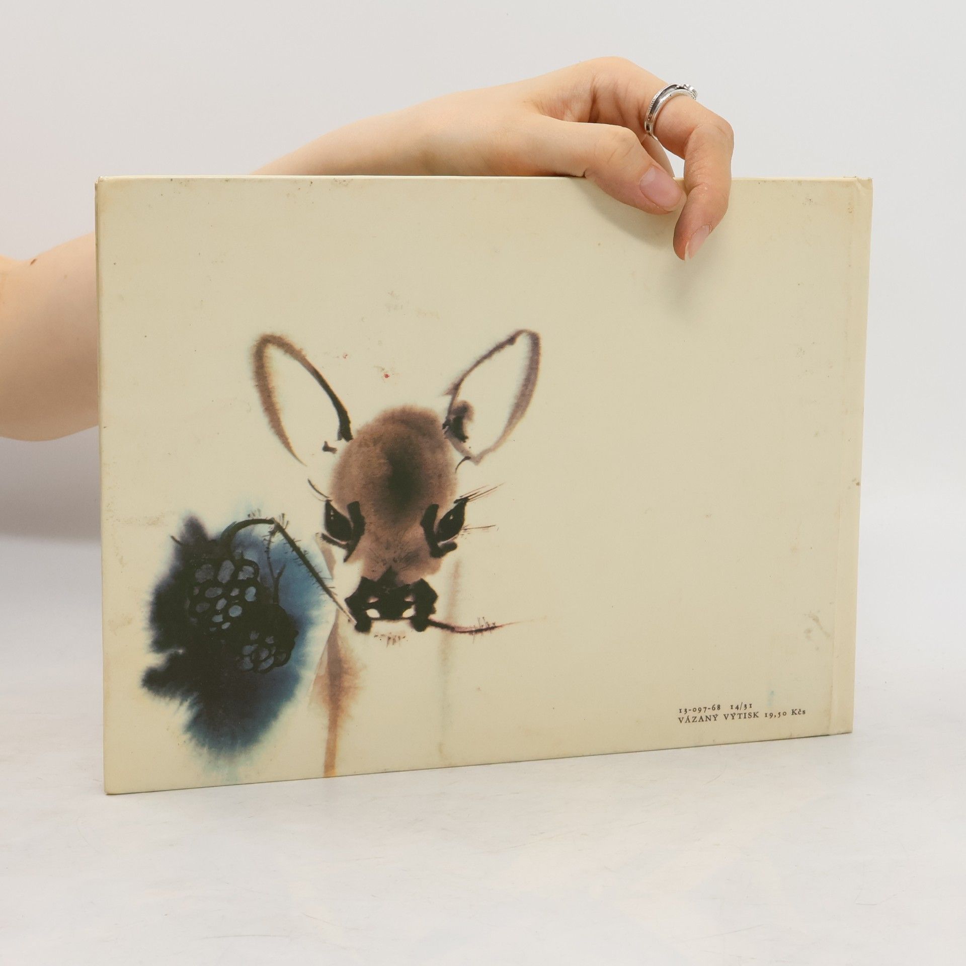 Mirko Hanák Bačkůrky z mechu