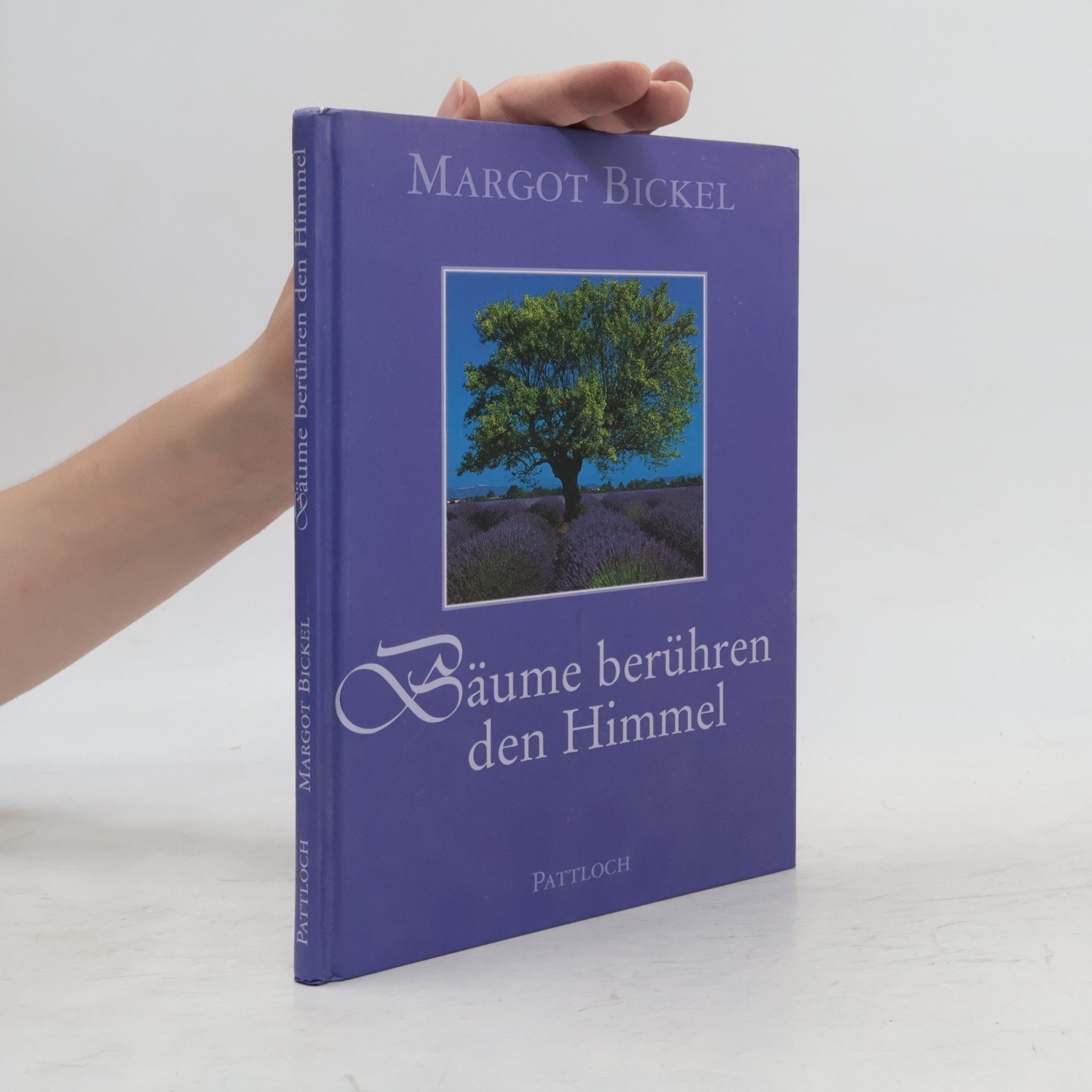 Margot Bickel Bäume berühren den Himmel