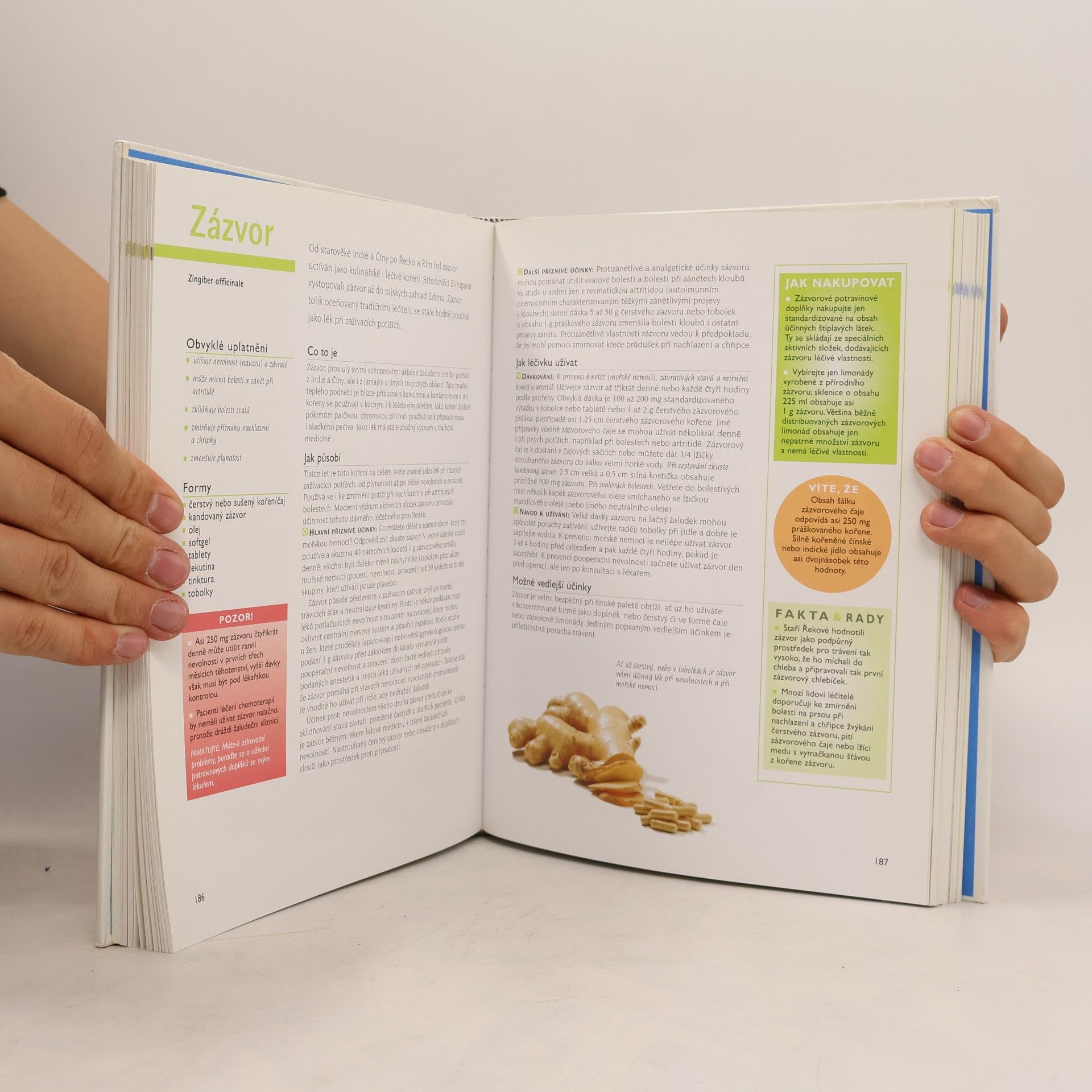 Autorenkollektiv Léčivá moc vitaminů, bylin a minerálních látek