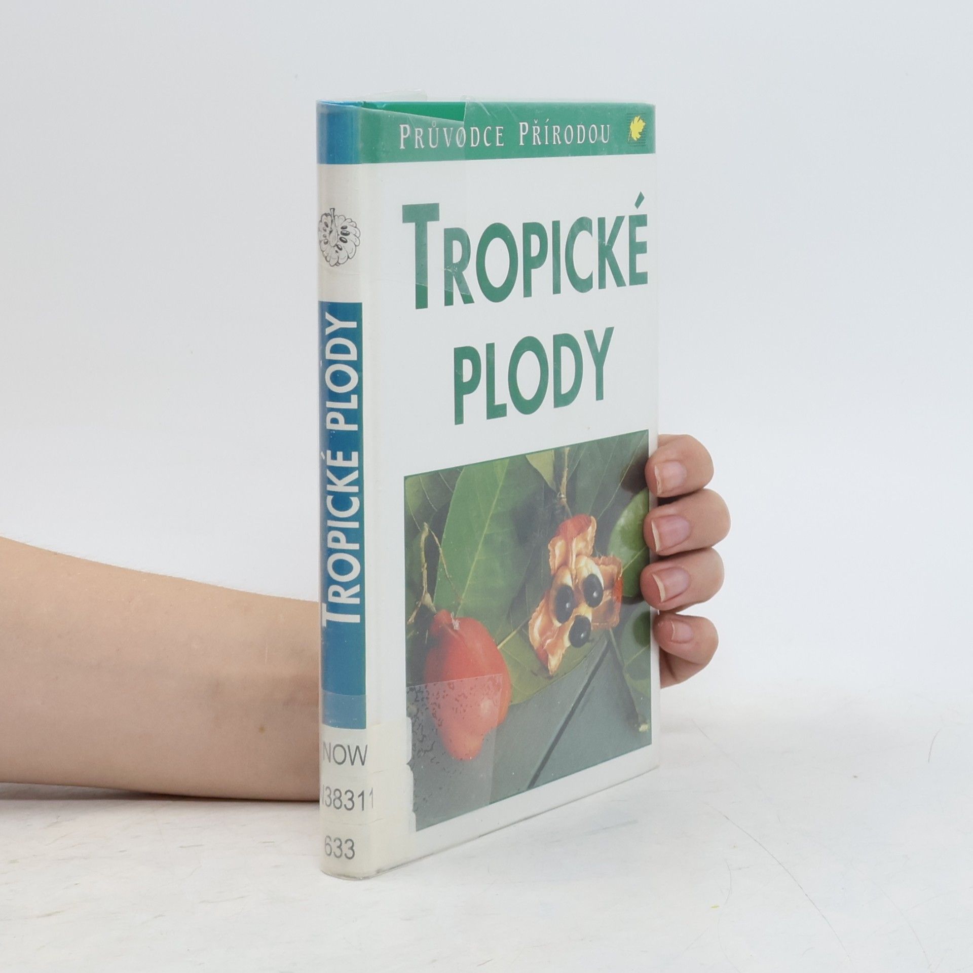 Bettina Schulz-Wendler Tropické plody