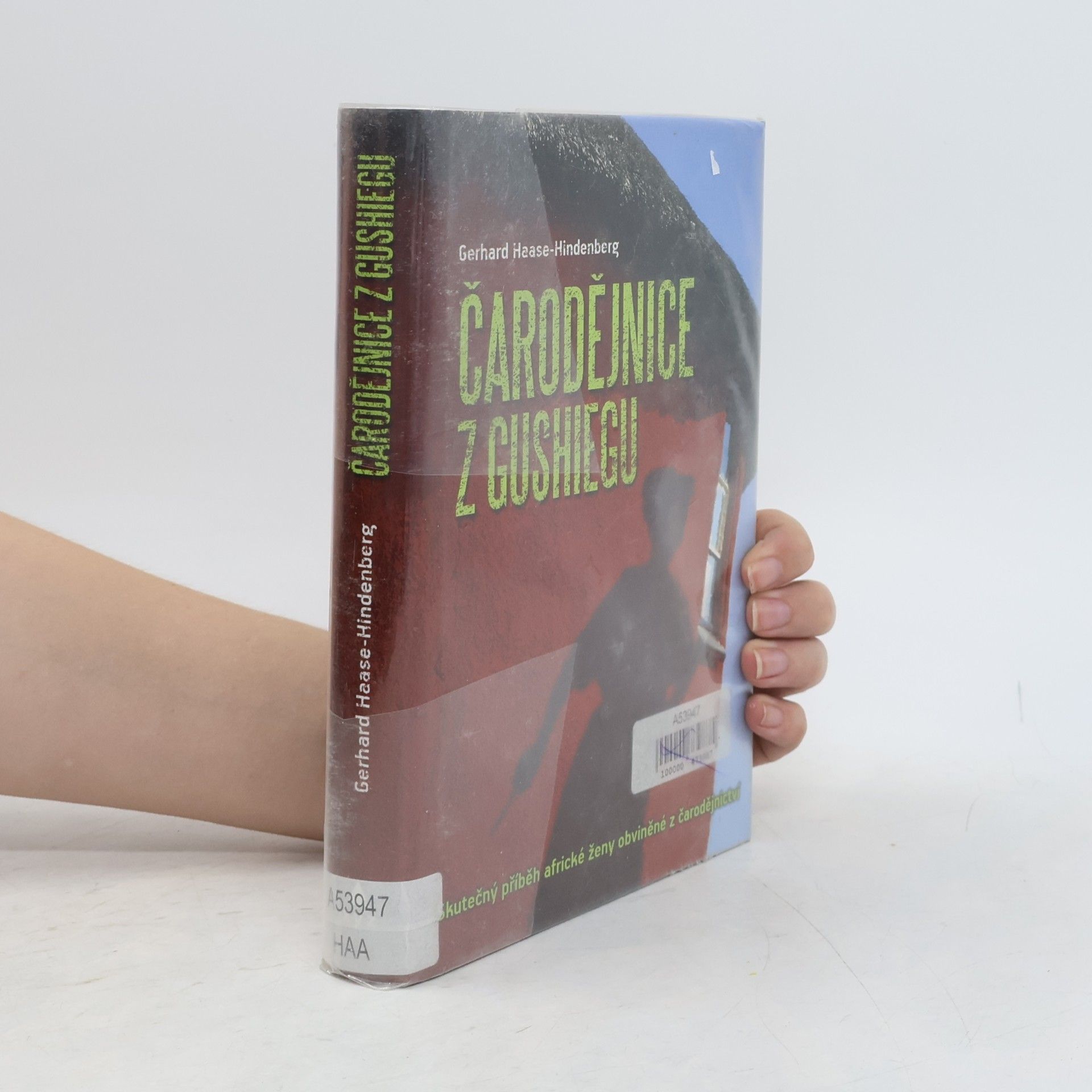 Gerhard Haase-Hindenberg Čarodějnice z Gushiegu