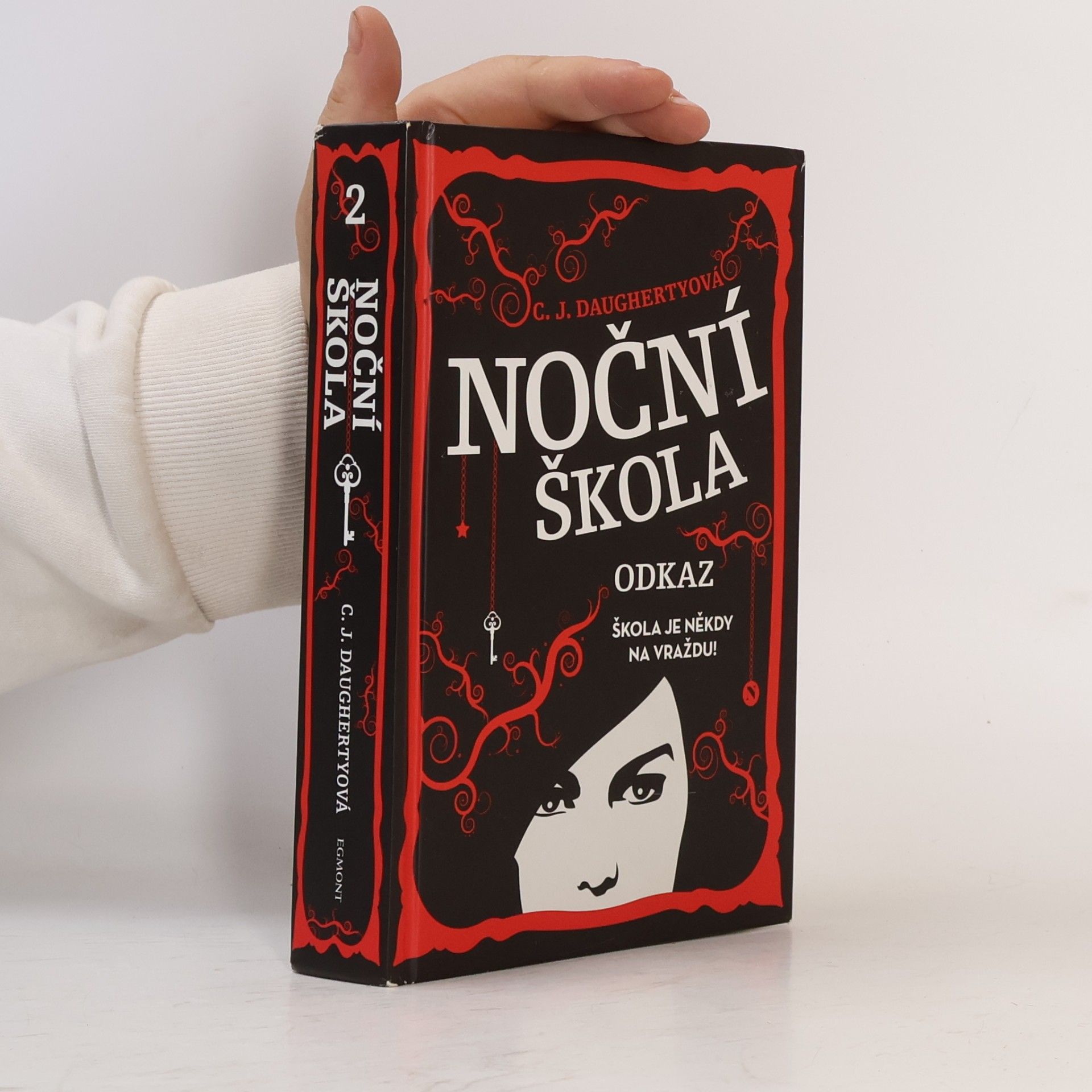 Christi Daugherty Noční škola. Odkaz