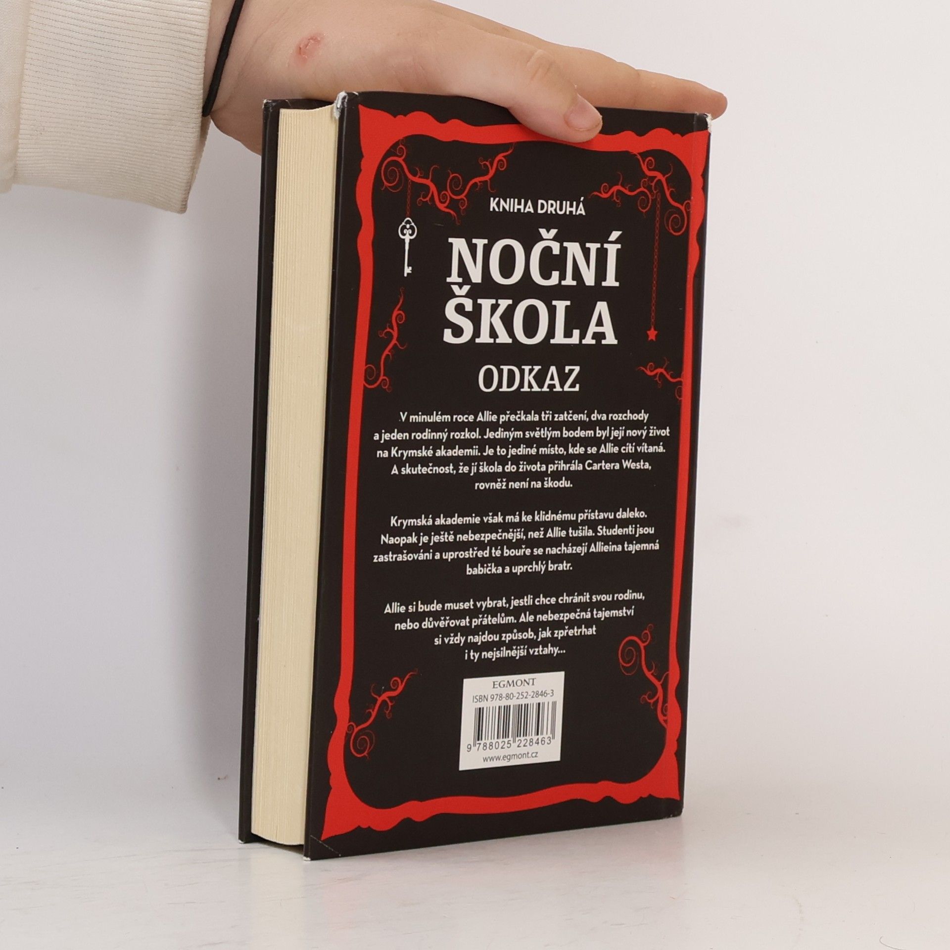 Christi Daugherty Noční škola. Odkaz