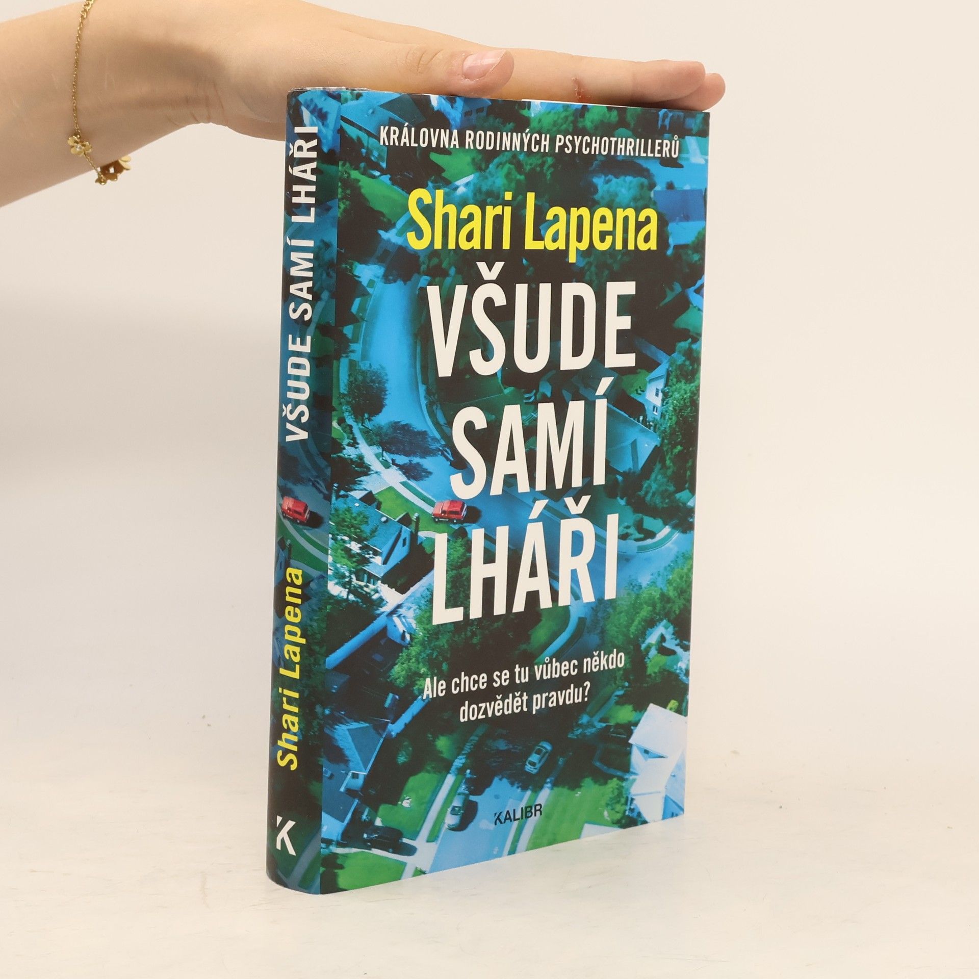 Shari Lapena Všude samí lháři