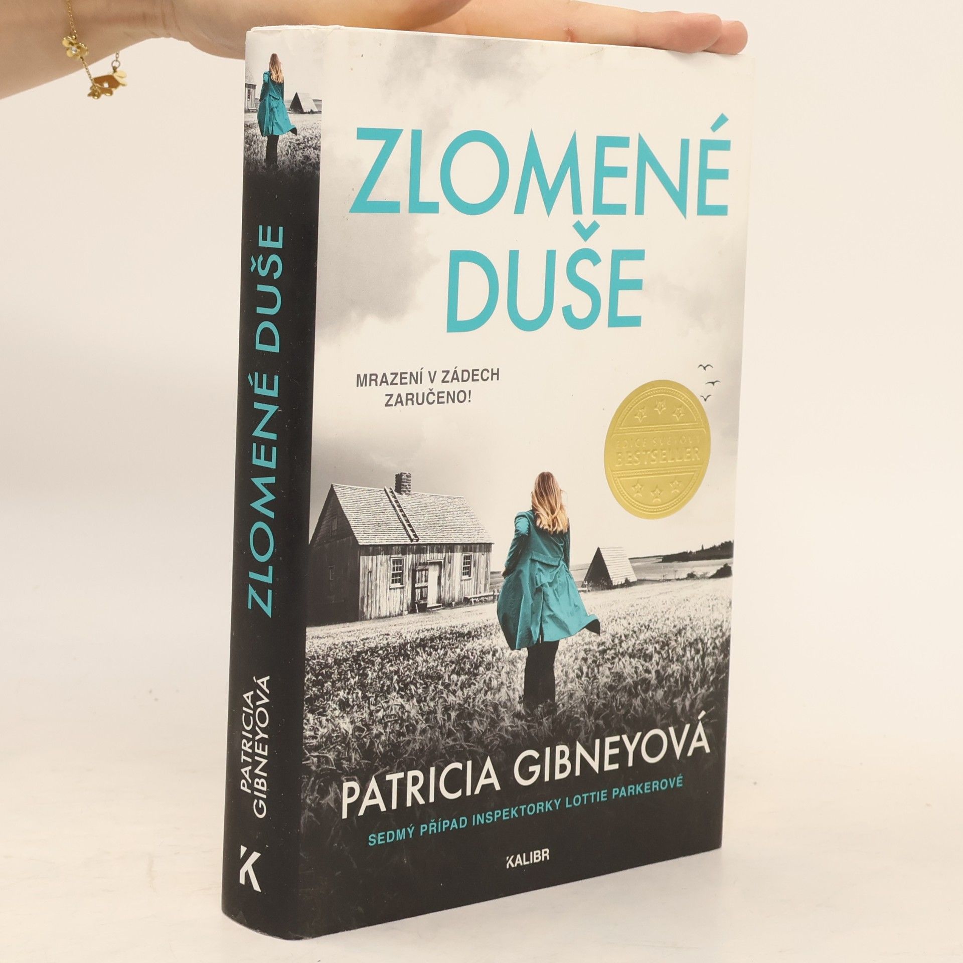 Patricia Gibney Zlomené Duše
