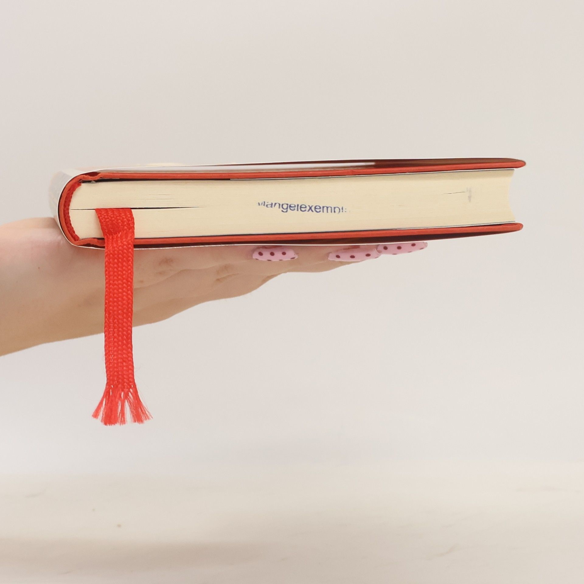 Dave Eggers Die Parade