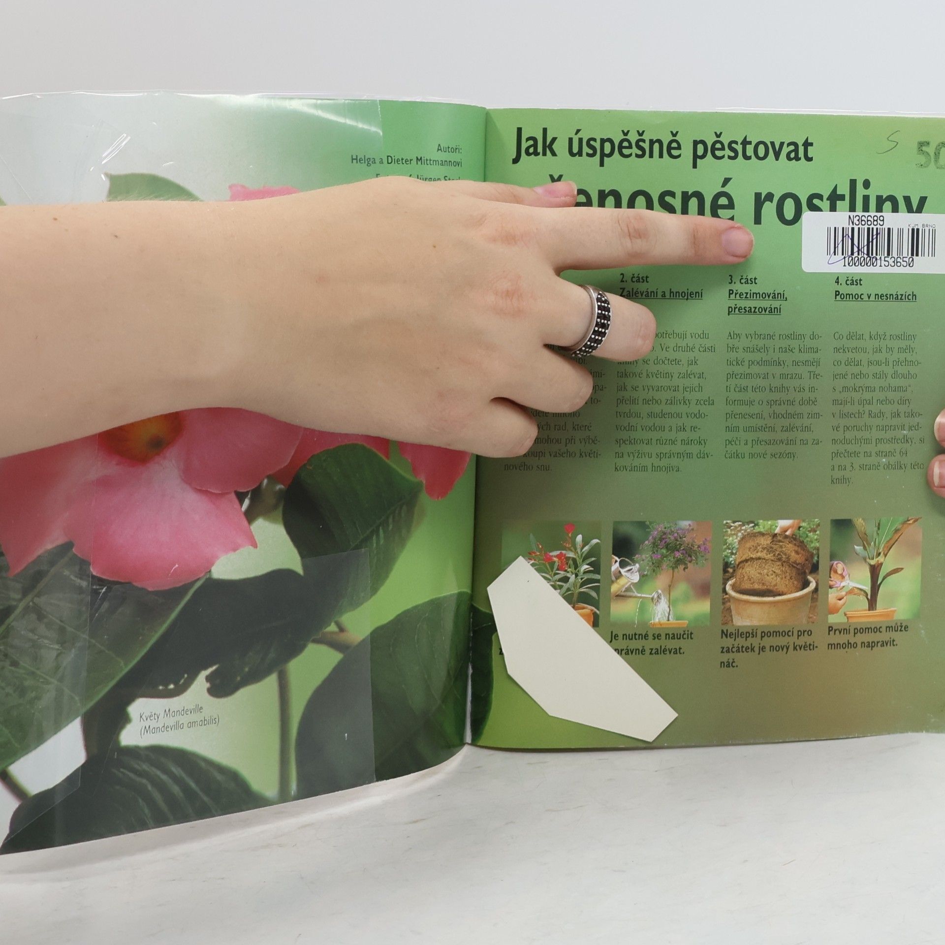 Helga Mittmann Přenosné rostliny : jak je úspěšně pěstovat : praktické rady pro zalévání, hnojení a přezimování