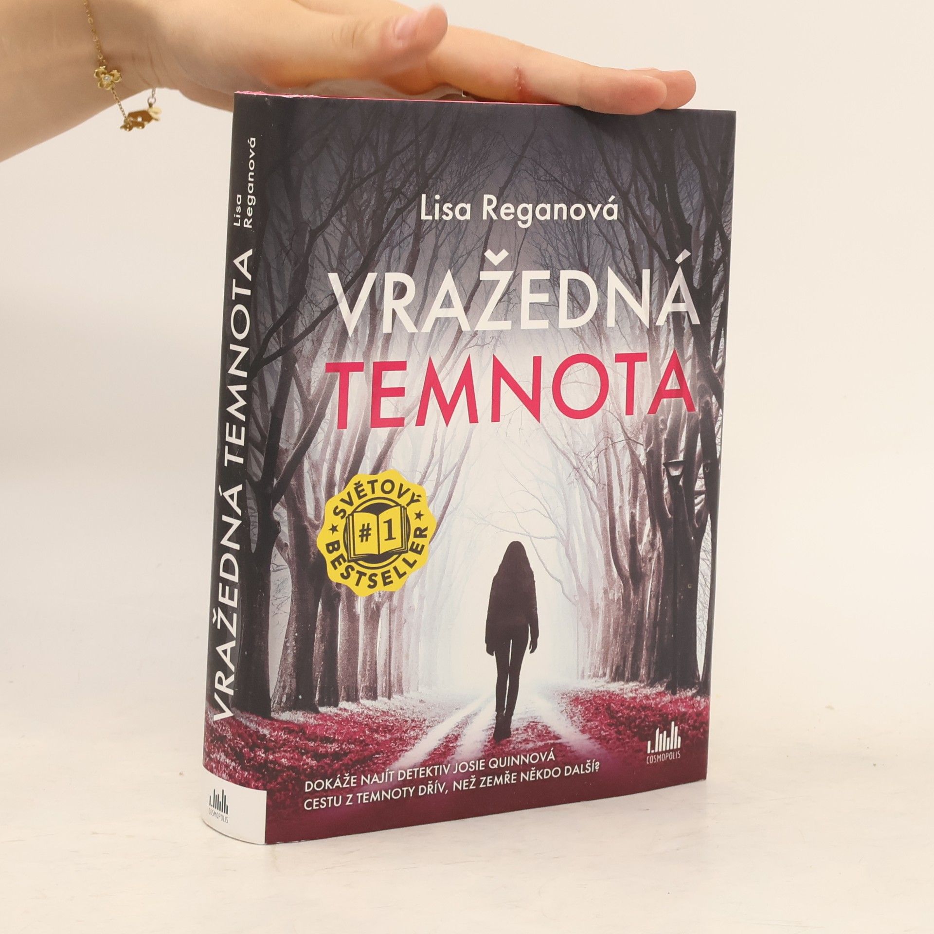 Lisa Regan Vražedná temnota