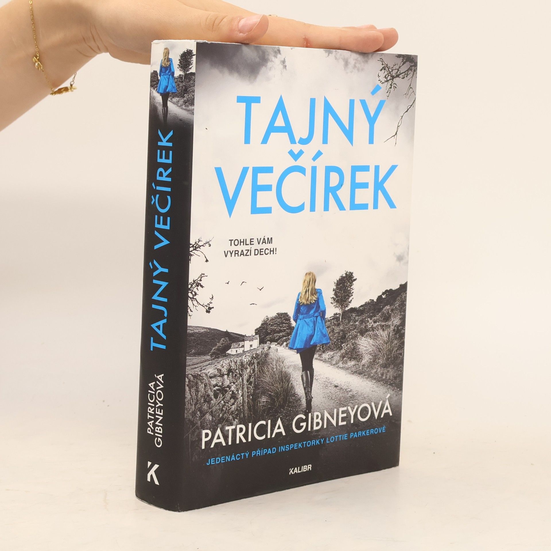 Tajný večírek