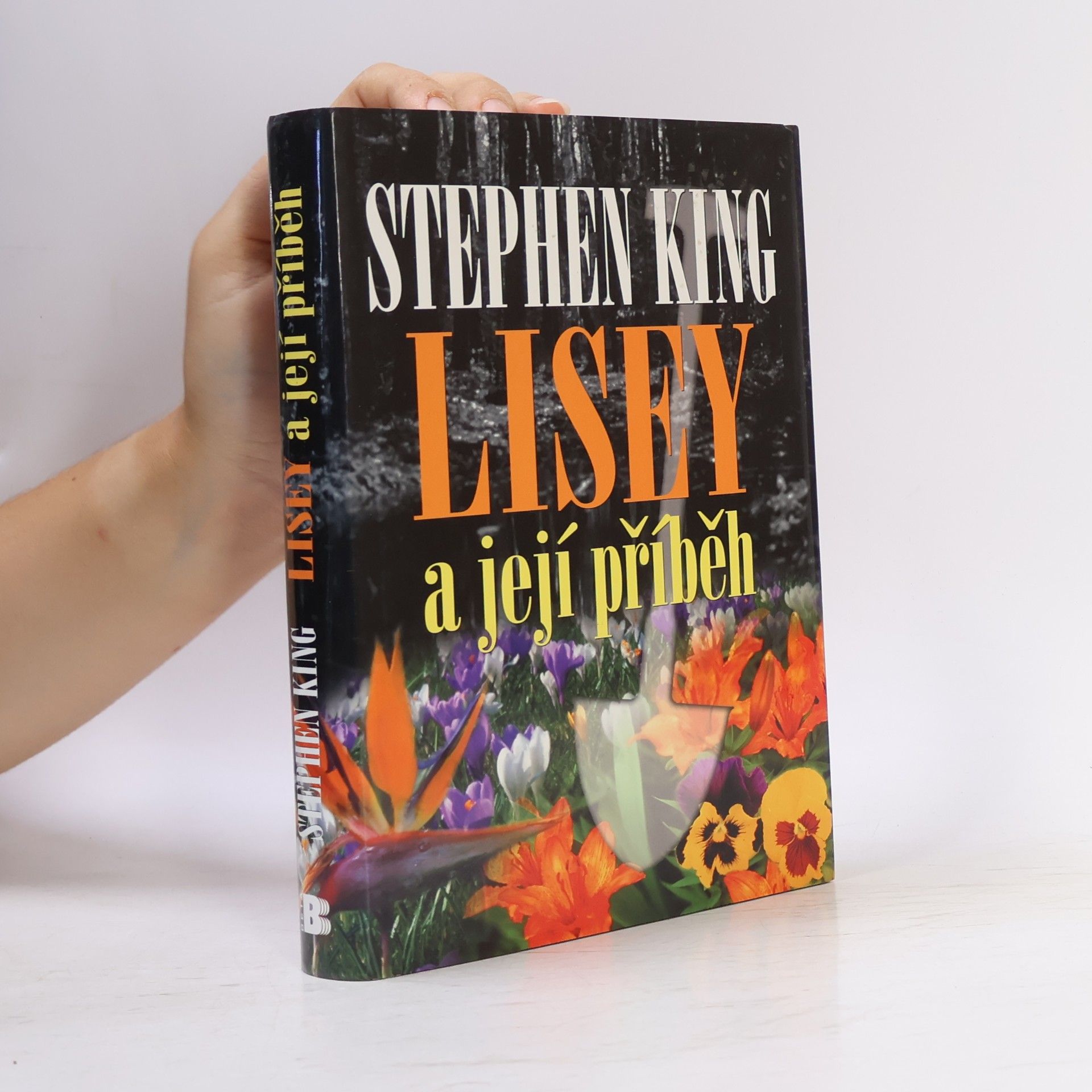 Stephen King Lisey a její příběh