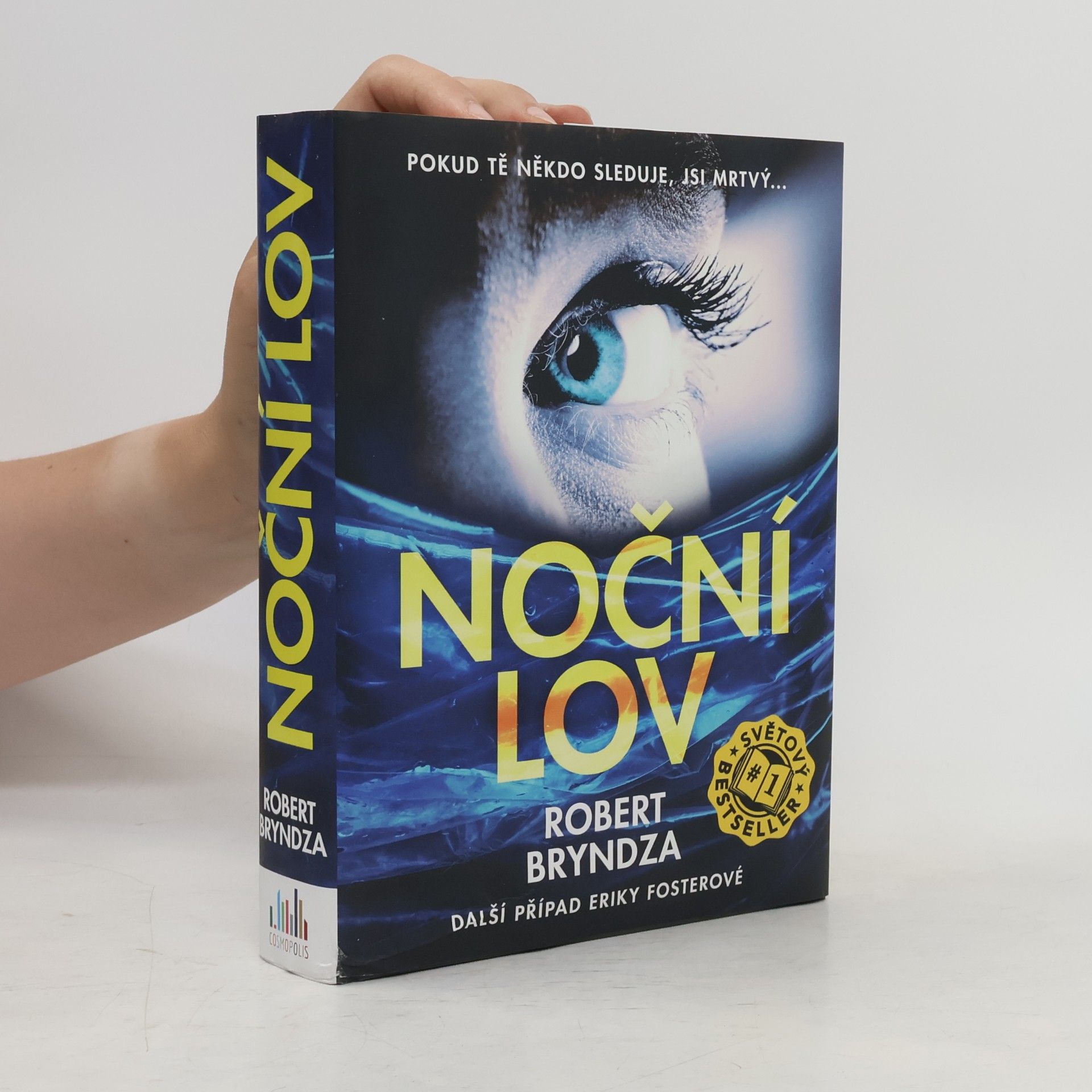 Robert Bryndza Noční lov