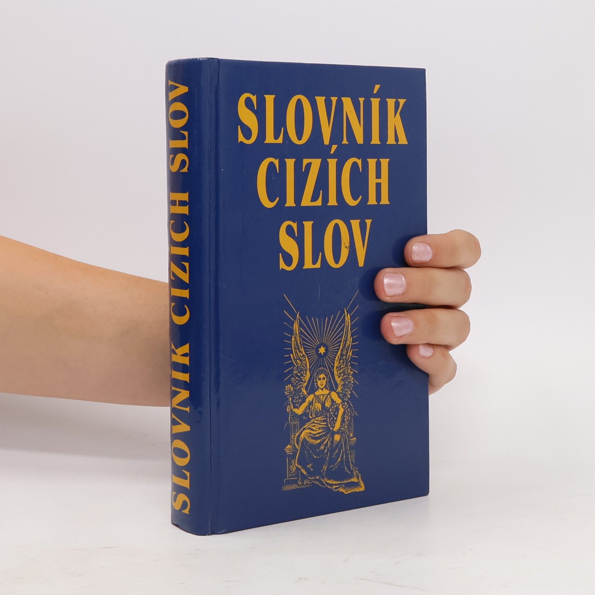 Kolektiv autorů Slovník cizích slov