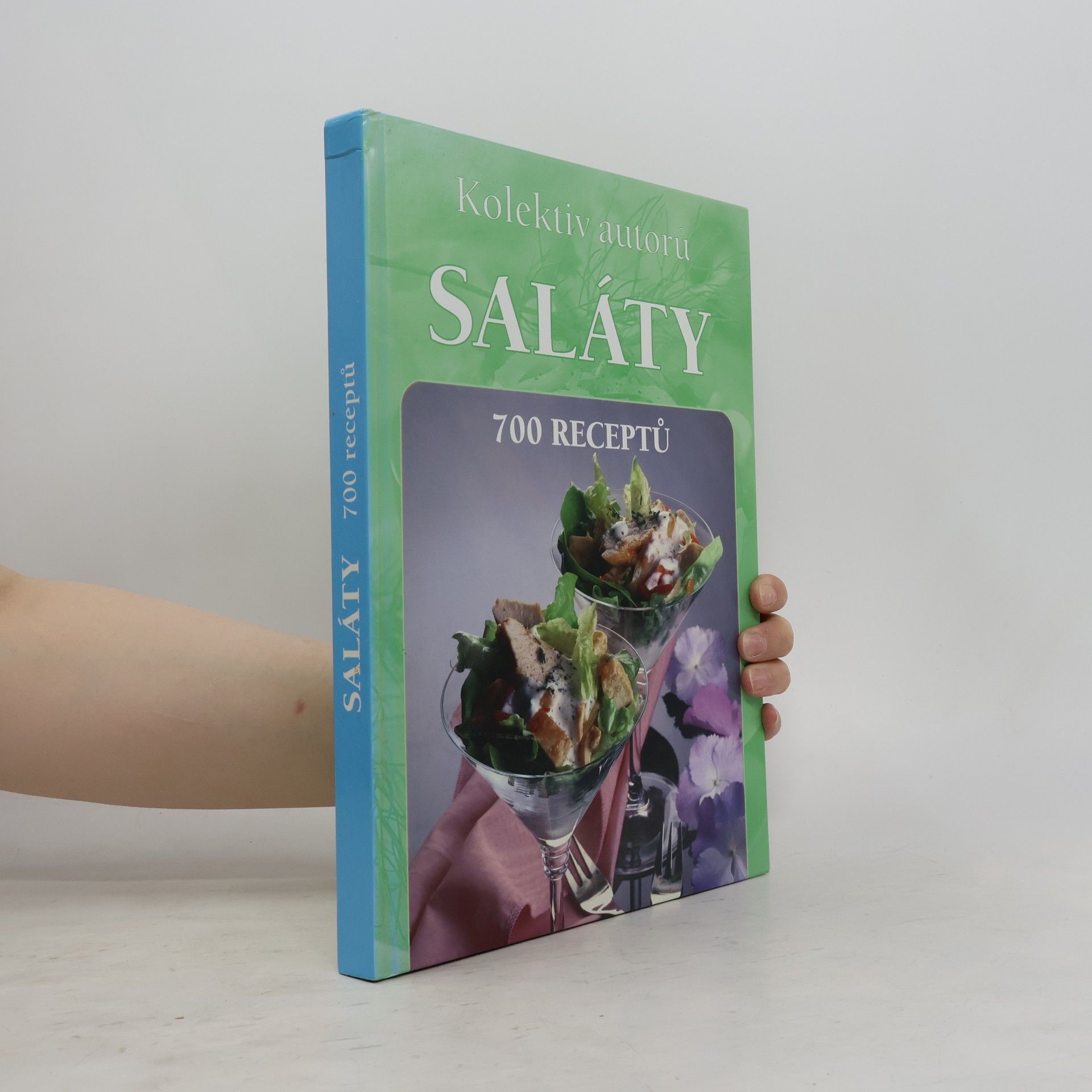 Various authors Saláty. 700 receptů