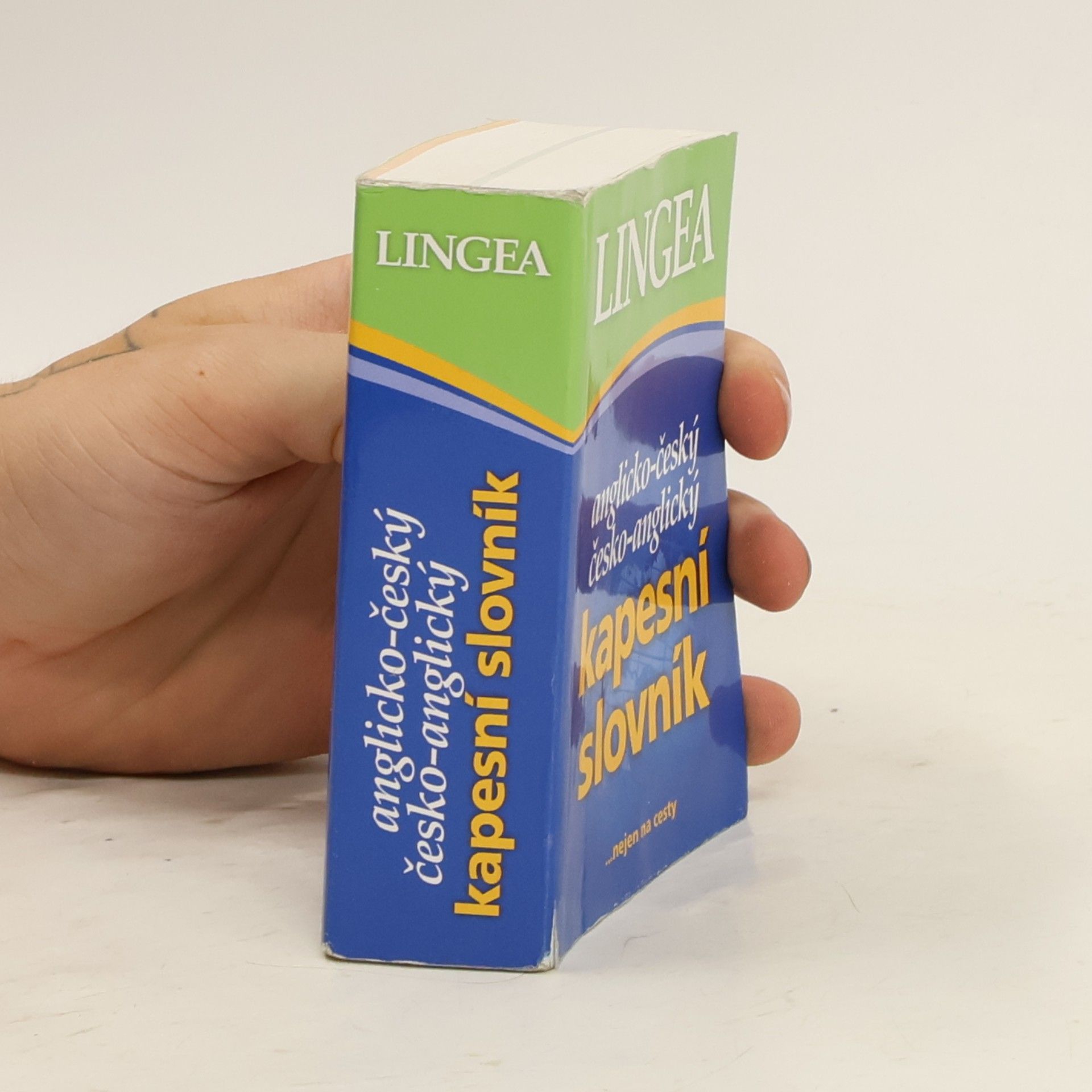 Autorenkollektiv Anglicko-český. Česko-anglický kapesní slovník
