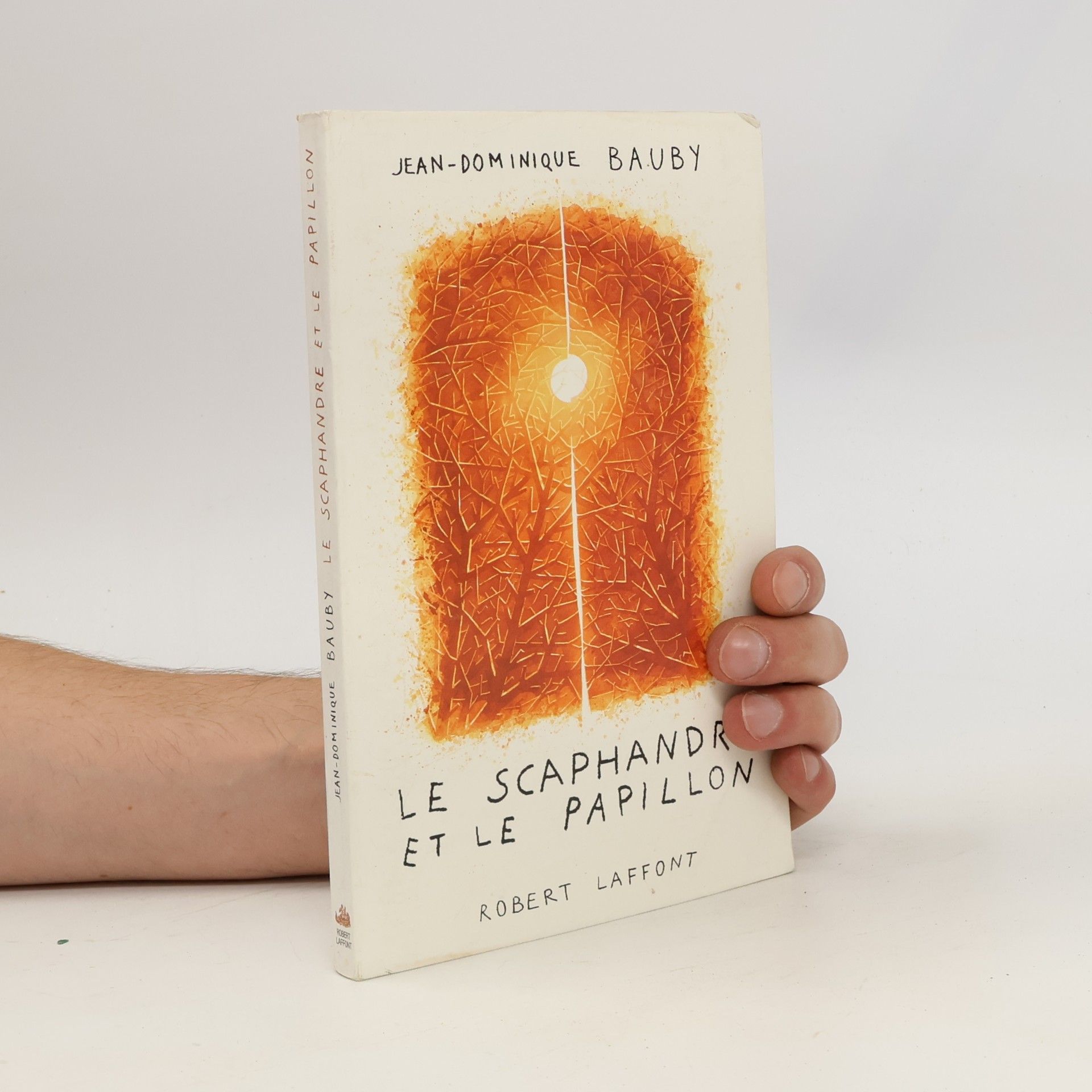 Jean-Dominique Bauby Le scaphandre et le papillon