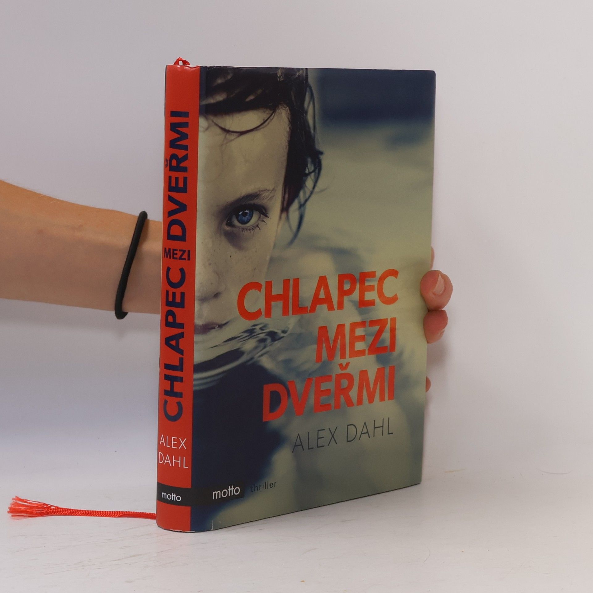 Alex Dahl Chlapec mezi dveřmi