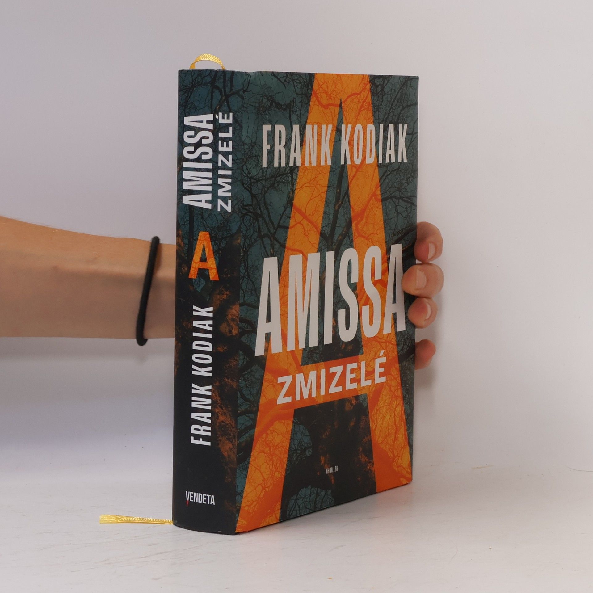 Hendrik Winter Amissa. Zmizelé