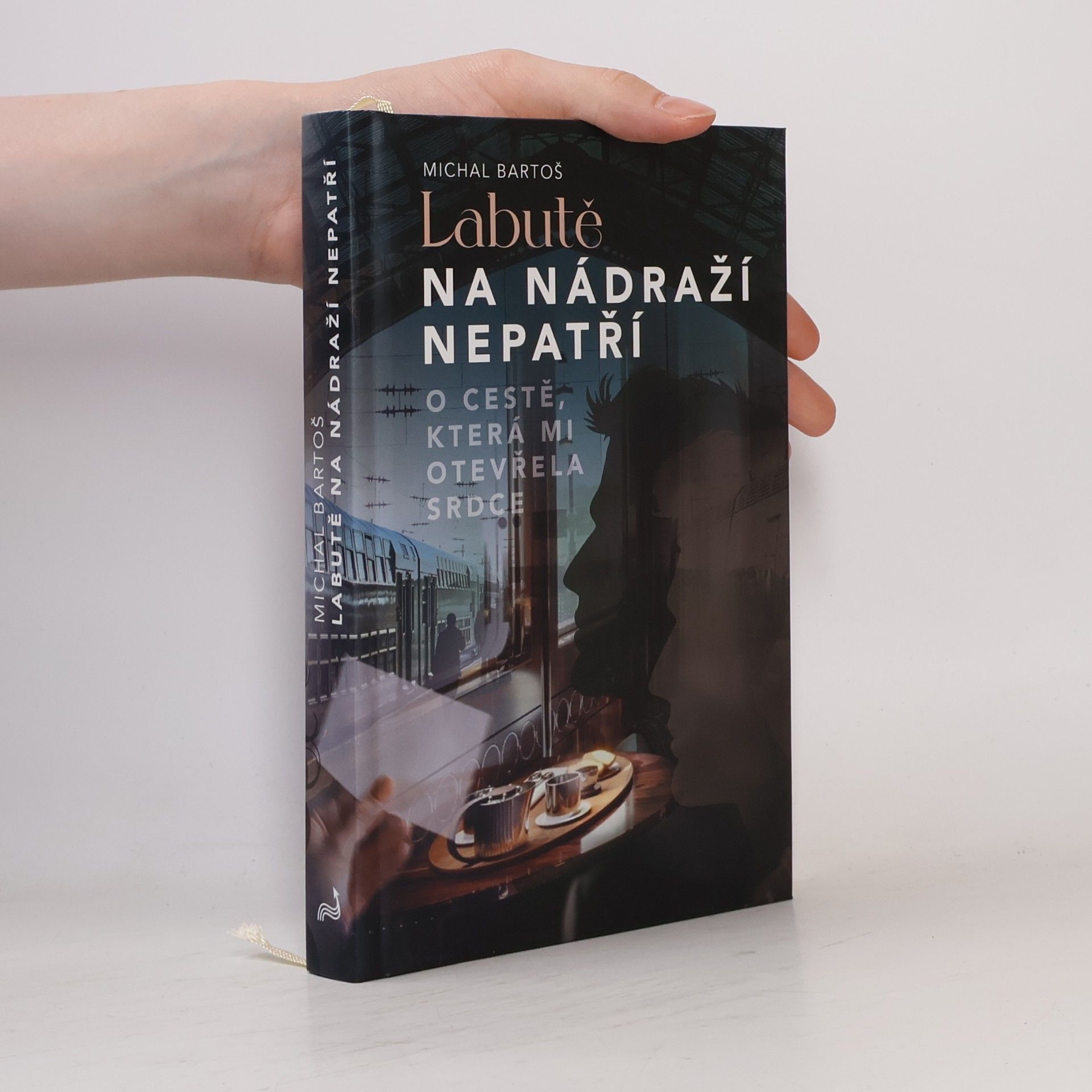 Labutě na nádraží nepatří