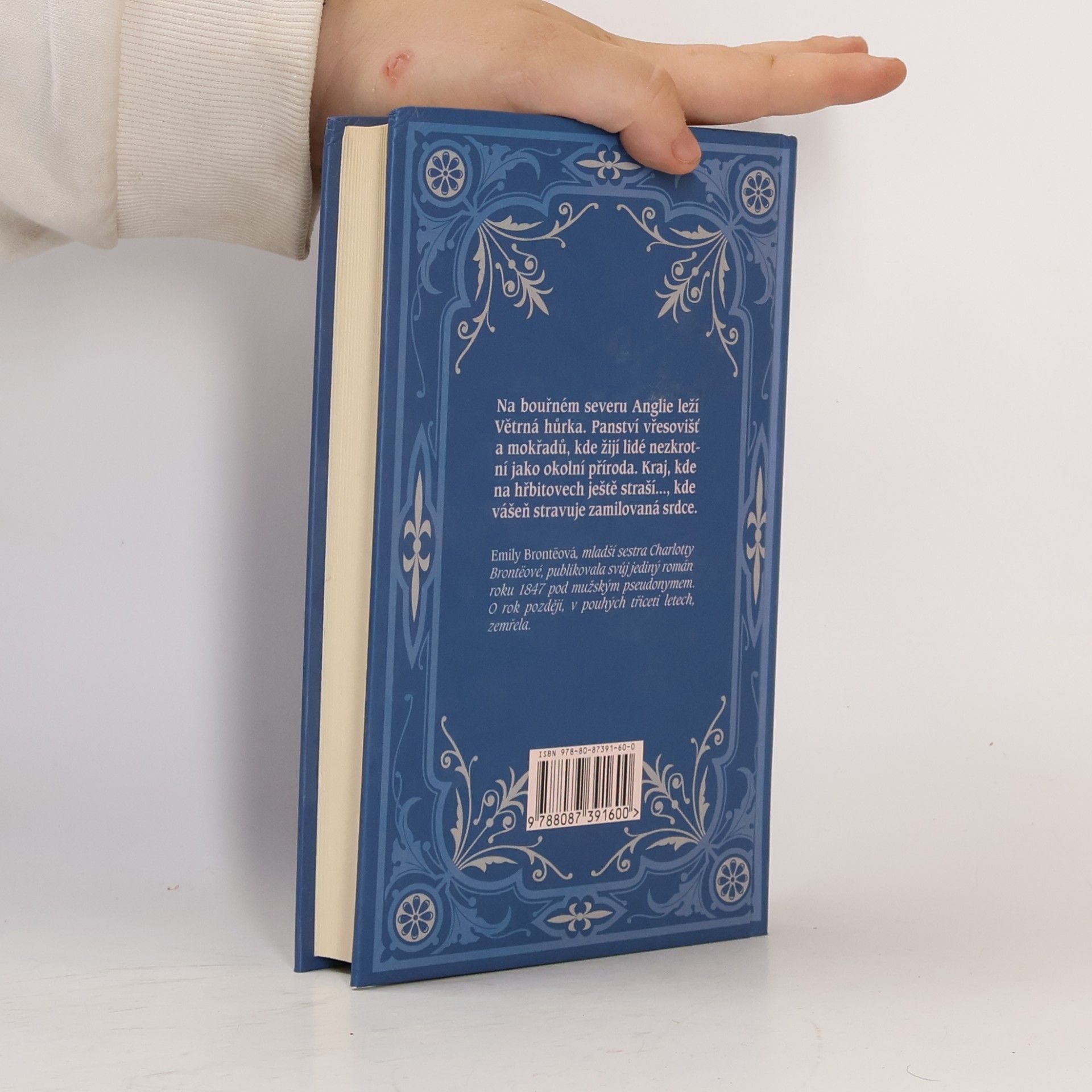 Emily Brontë Na větrné hůrce