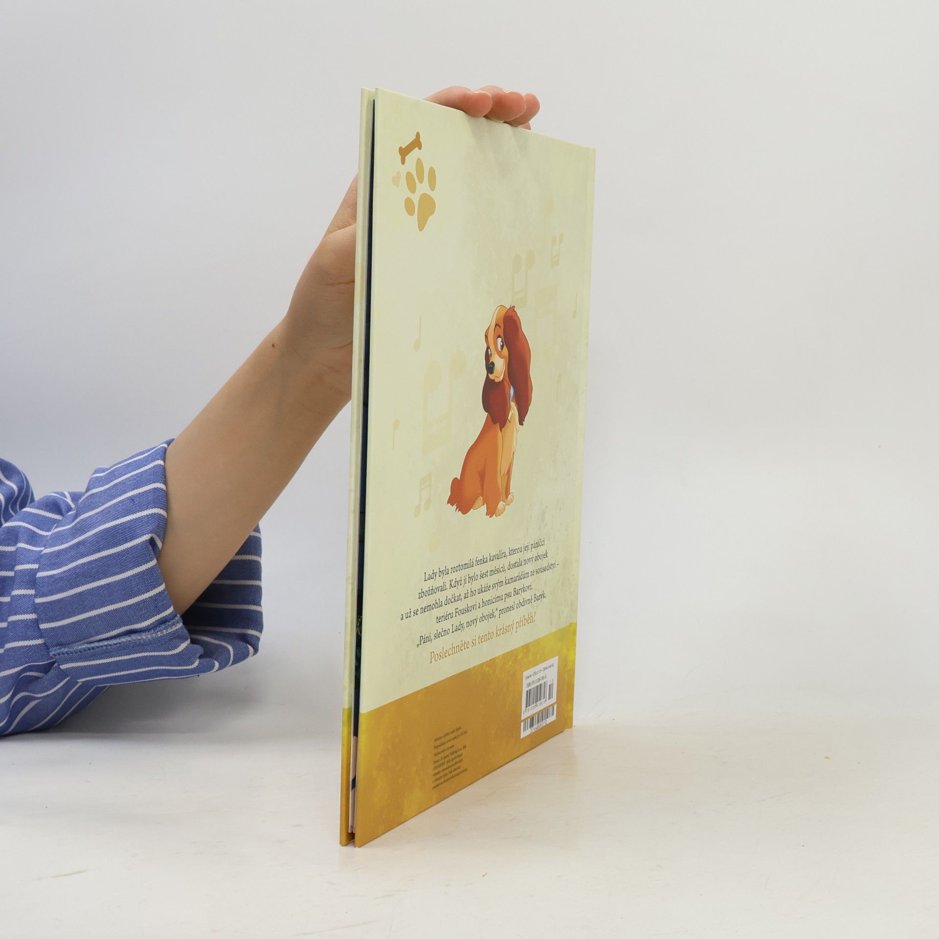 Autorenkollektiv Kouzelné audio pohádky 17. Lady a Tramp