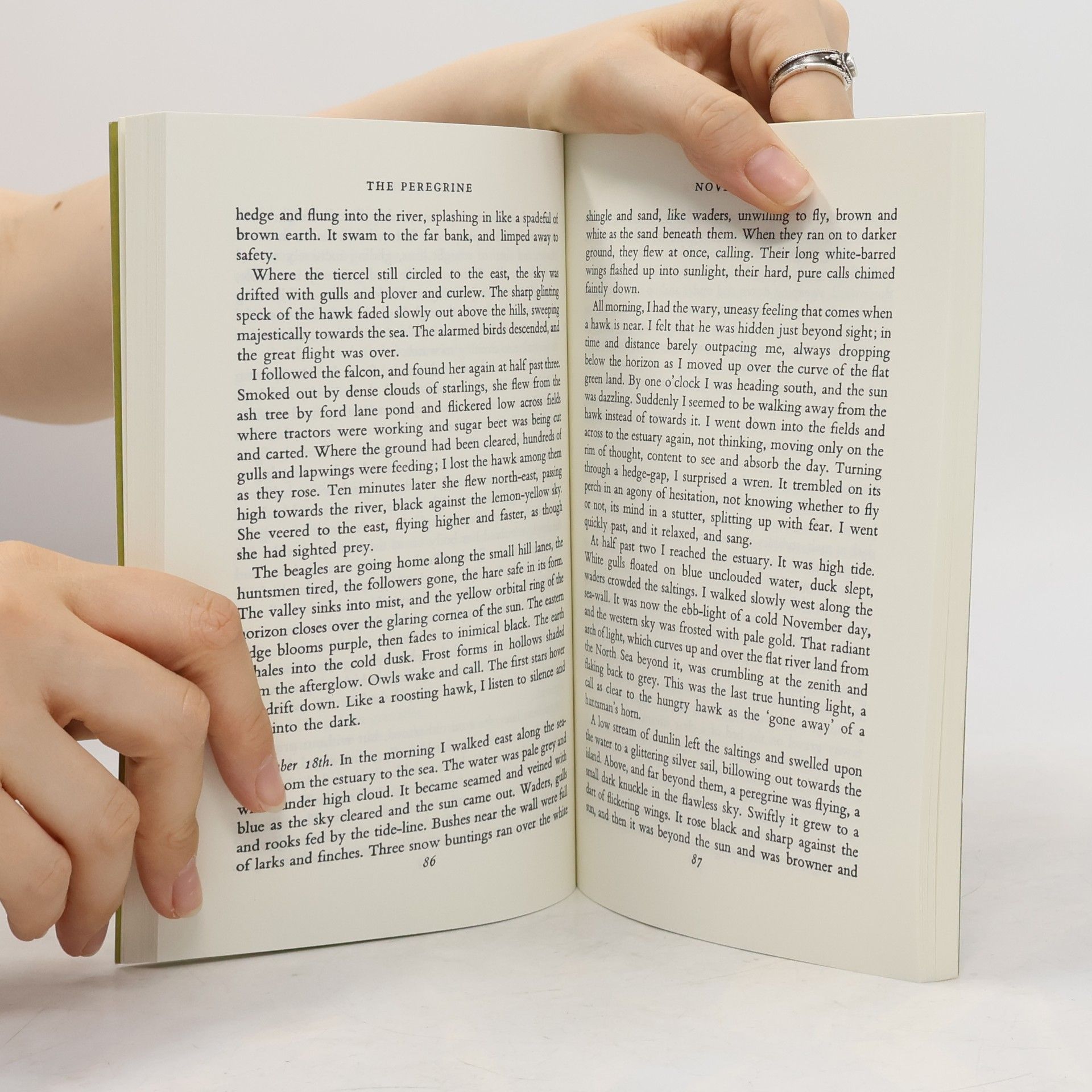 J. A. Baker New York Review Books Classics: The Peregrine