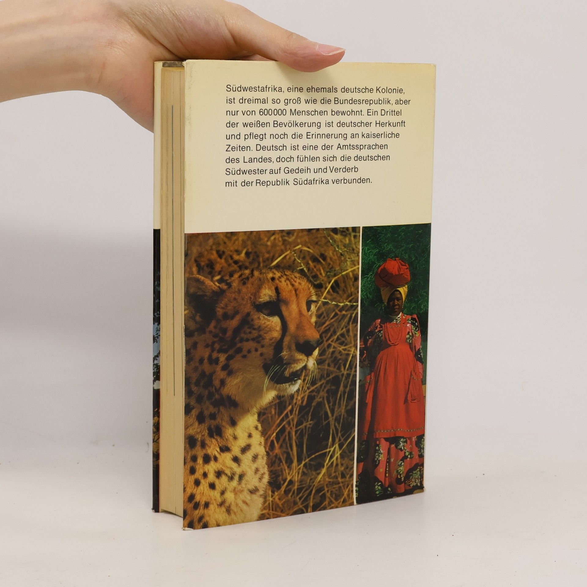 Hans-Otto Meissner Traumland Südwest