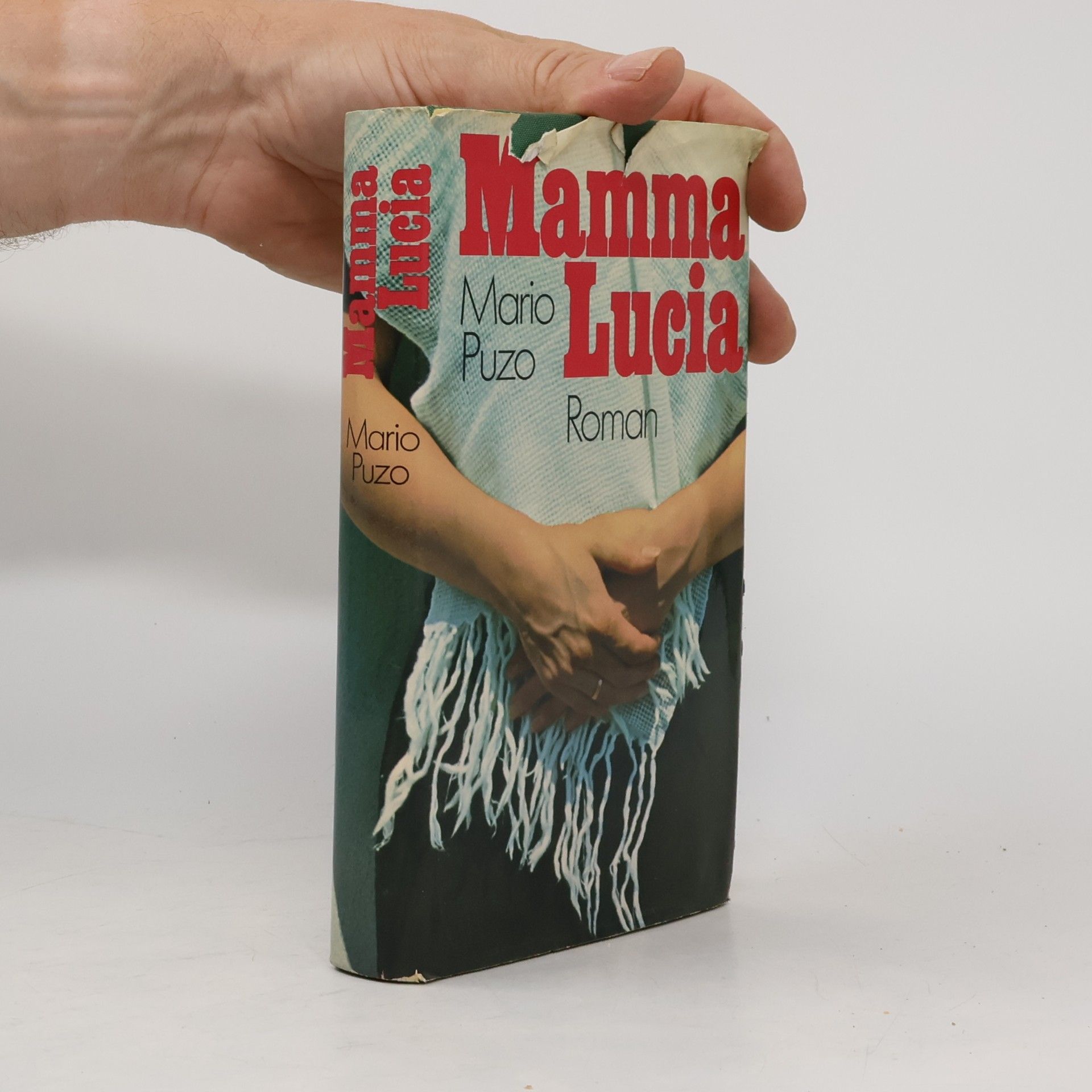 Mario Puzo Mamma Lucia
