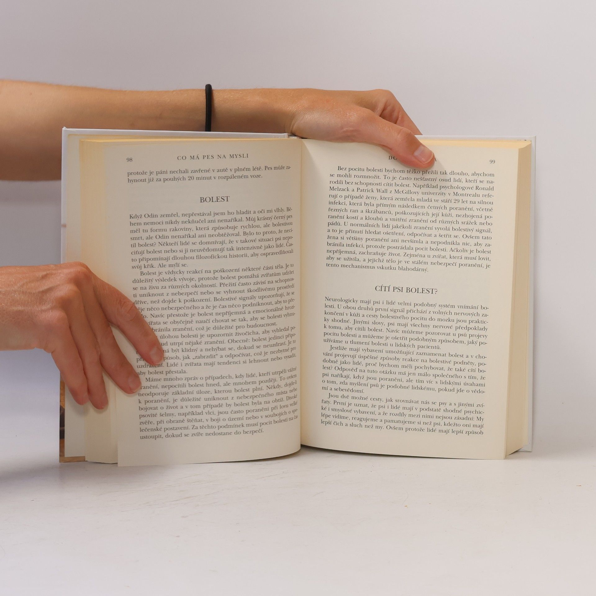 Stanley Coren Co má pes na mysli: Jak pochopit psí uvažování