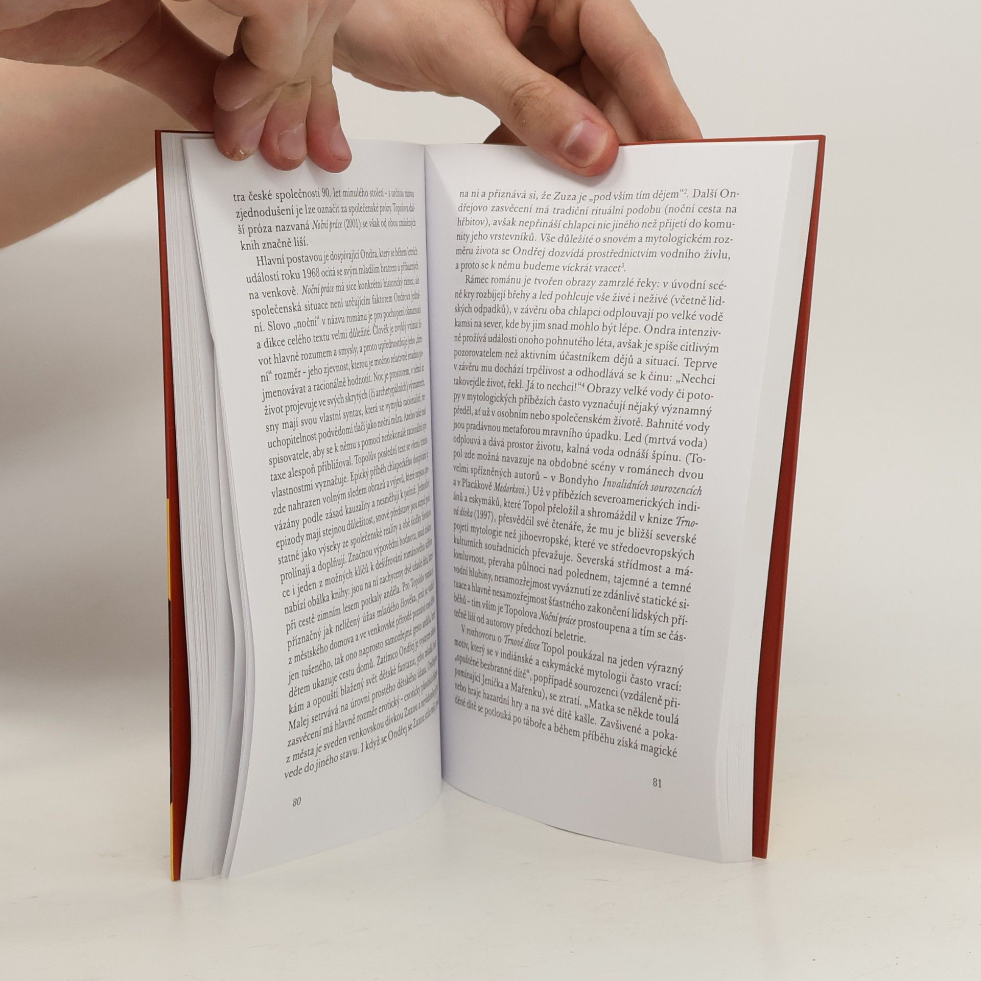 Martin Pilař Vrabec v hrsti aneb Klišé v literatuře