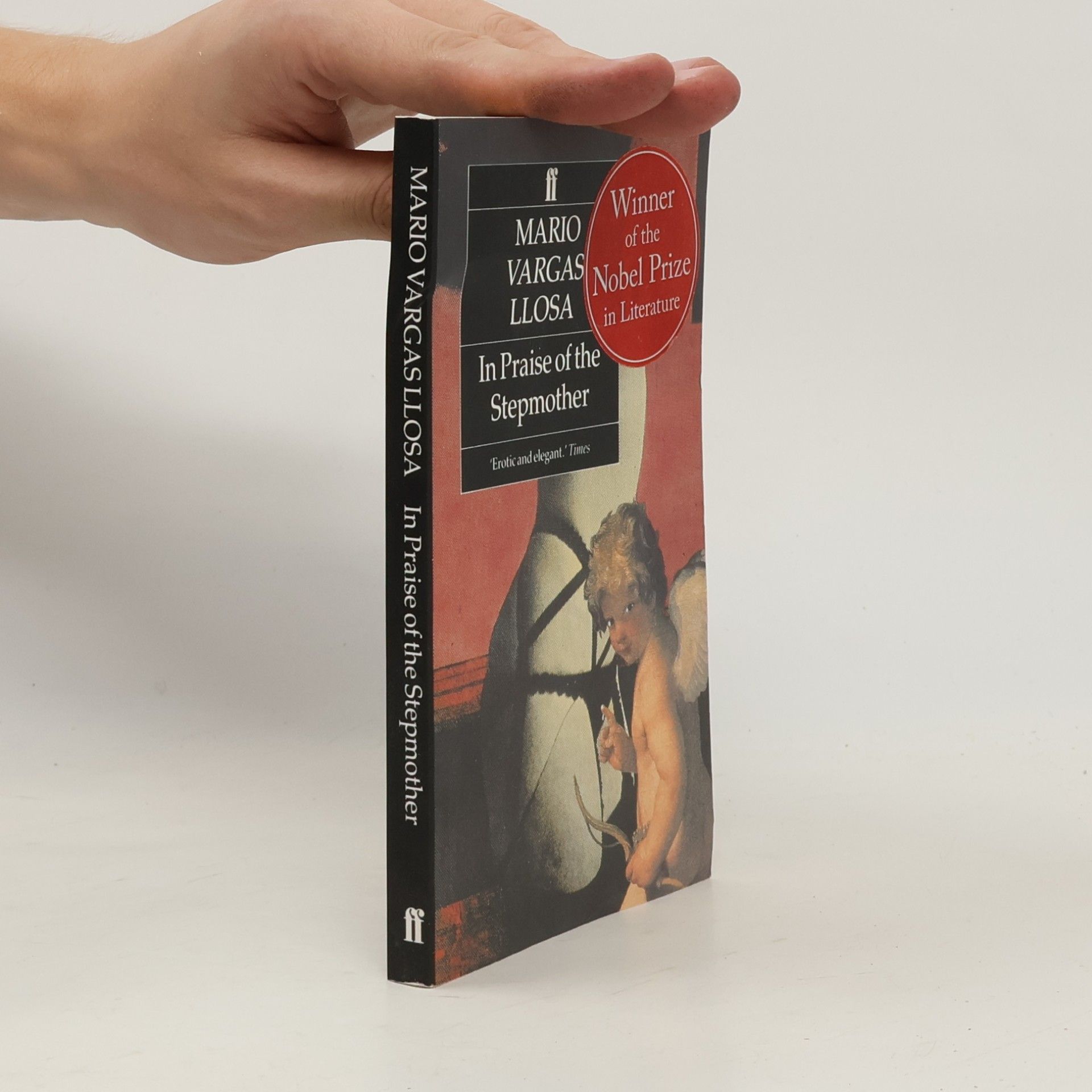 Mario Vargas Llosa In Praise of the Stepmother