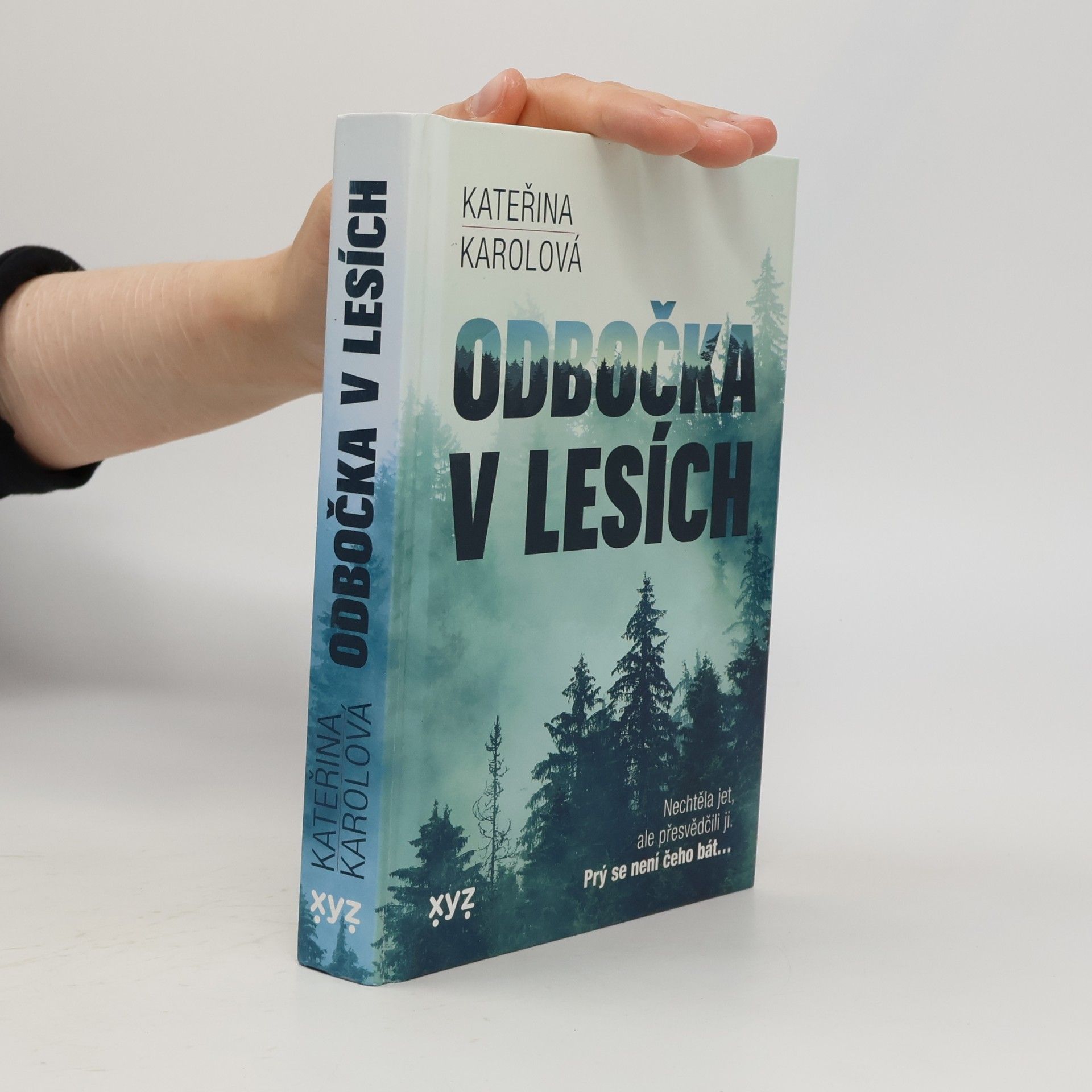 Kateřina Karolová Odbočka v lesích