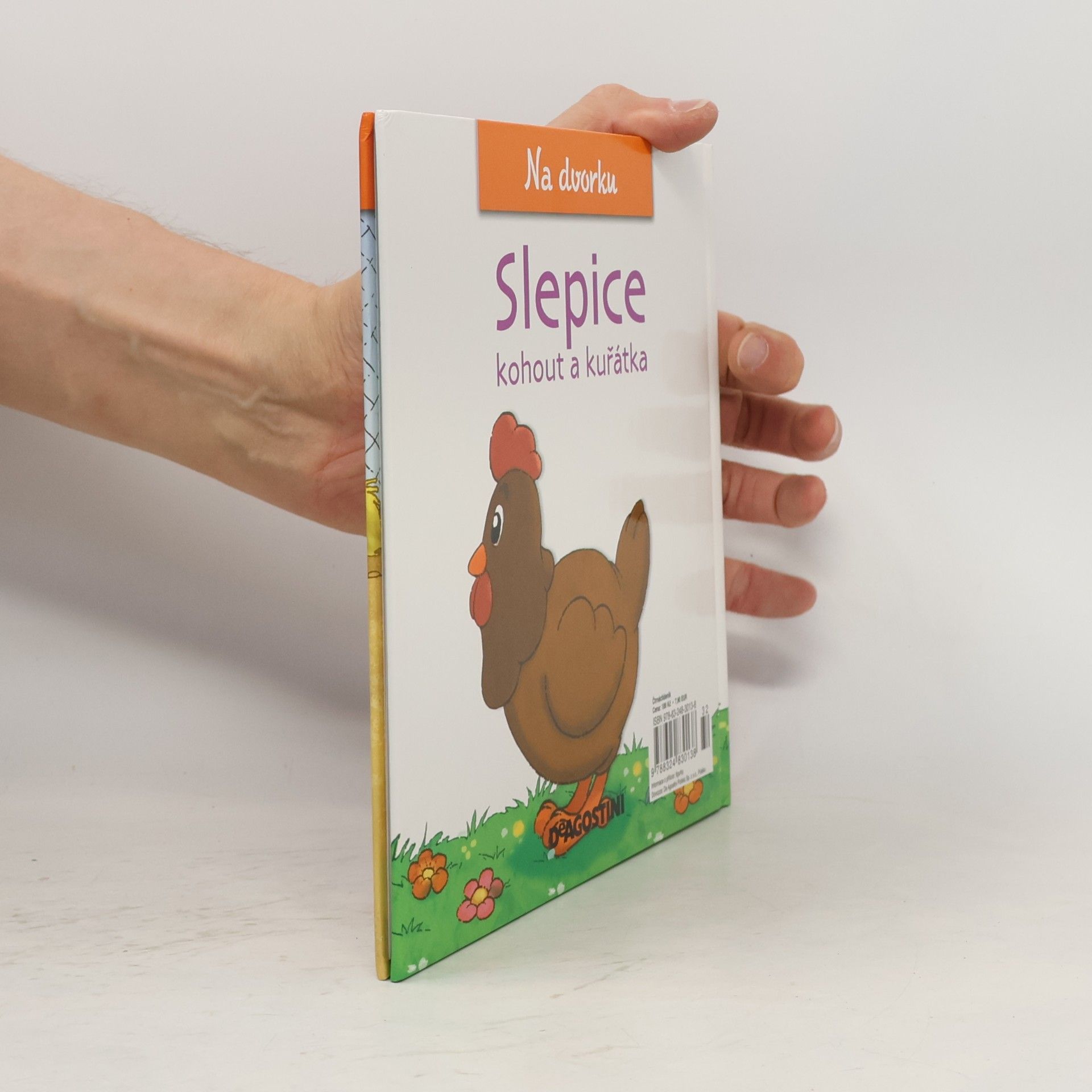 Autorenkollektiv Na dvorku 13. Slepice