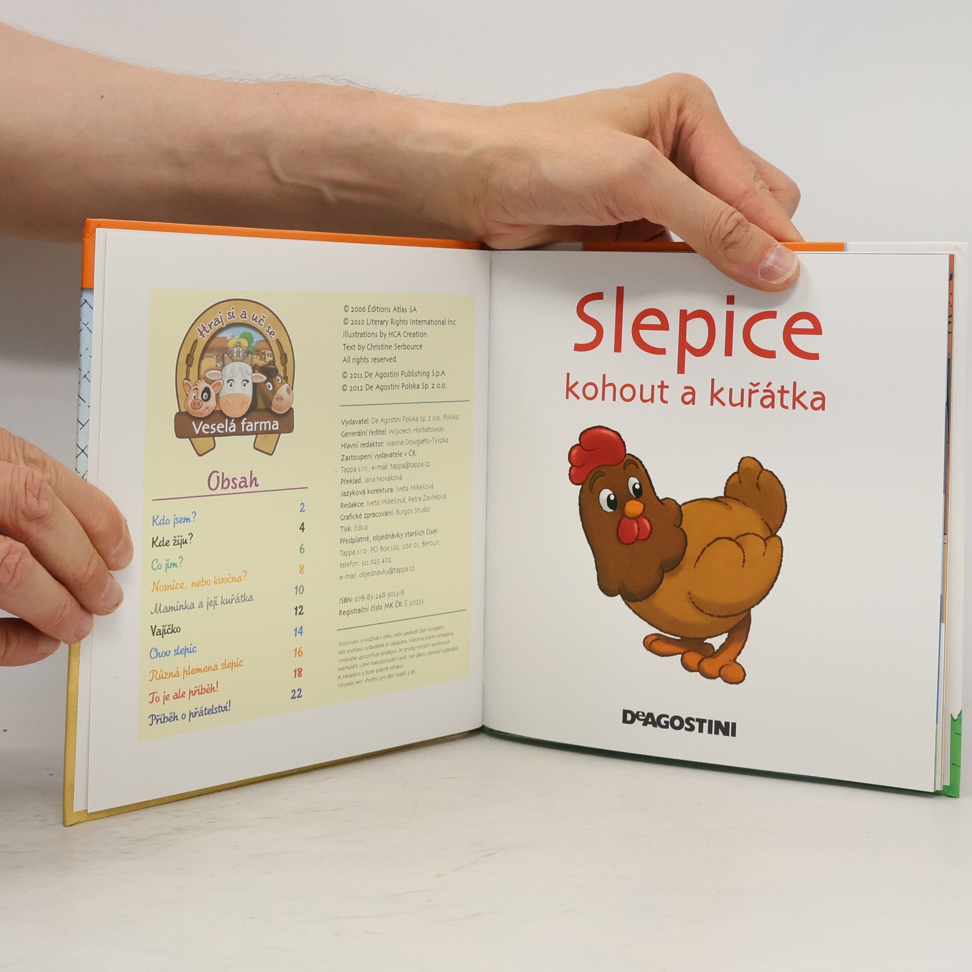 Autorenkollektiv Na dvorku 13. Slepice