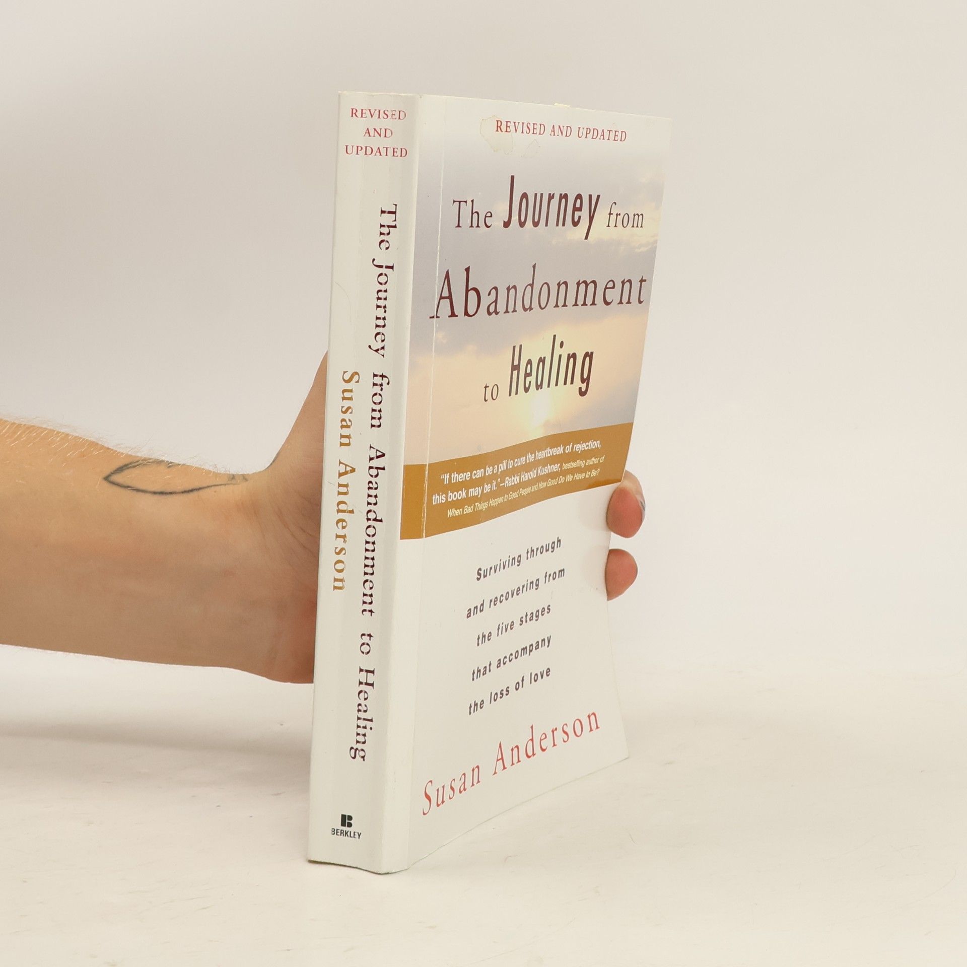 Susan M. Sanderson The Journey from Abandonment to Healing: Revised and Updated