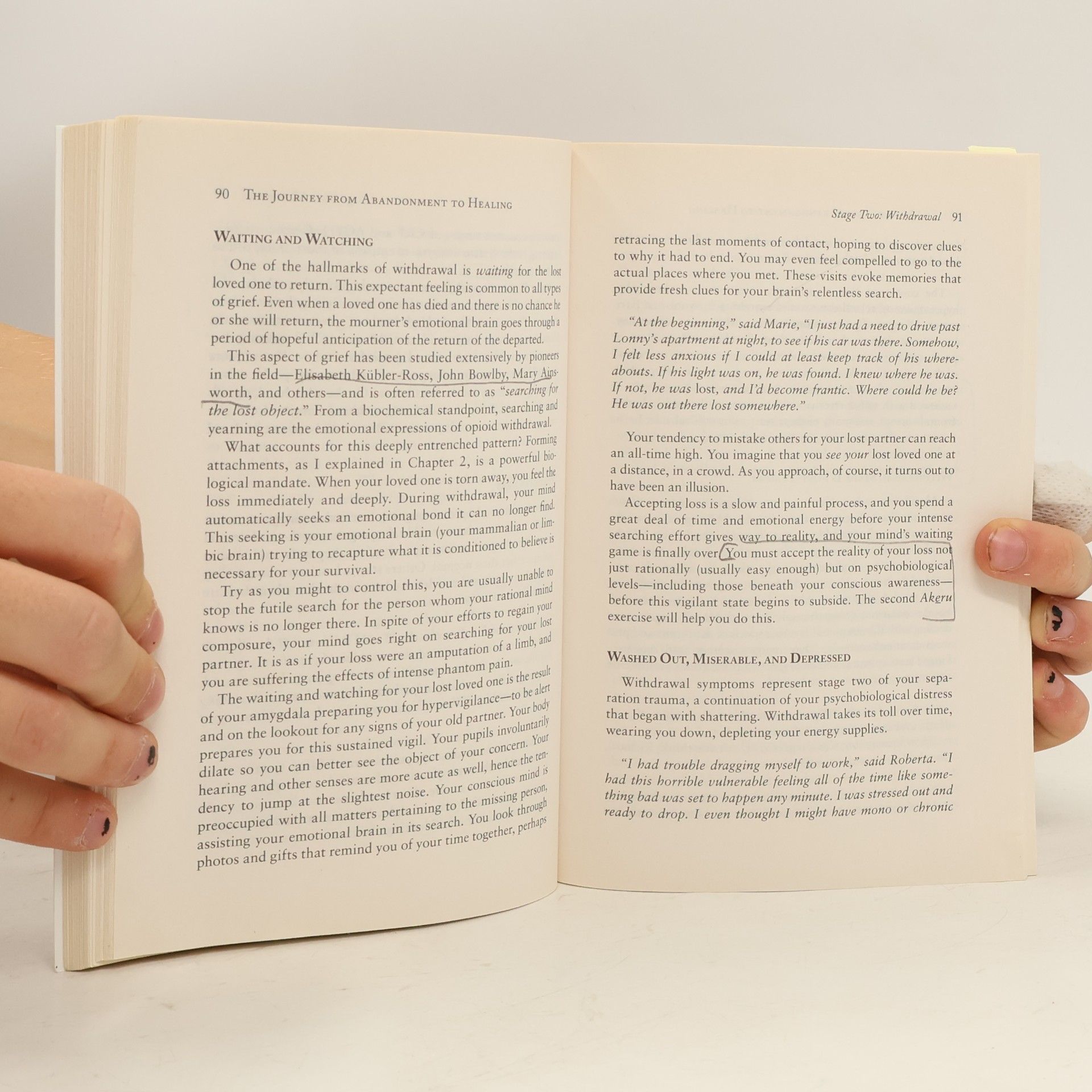 Susan M. Sanderson The Journey from Abandonment to Healing: Revised and Updated