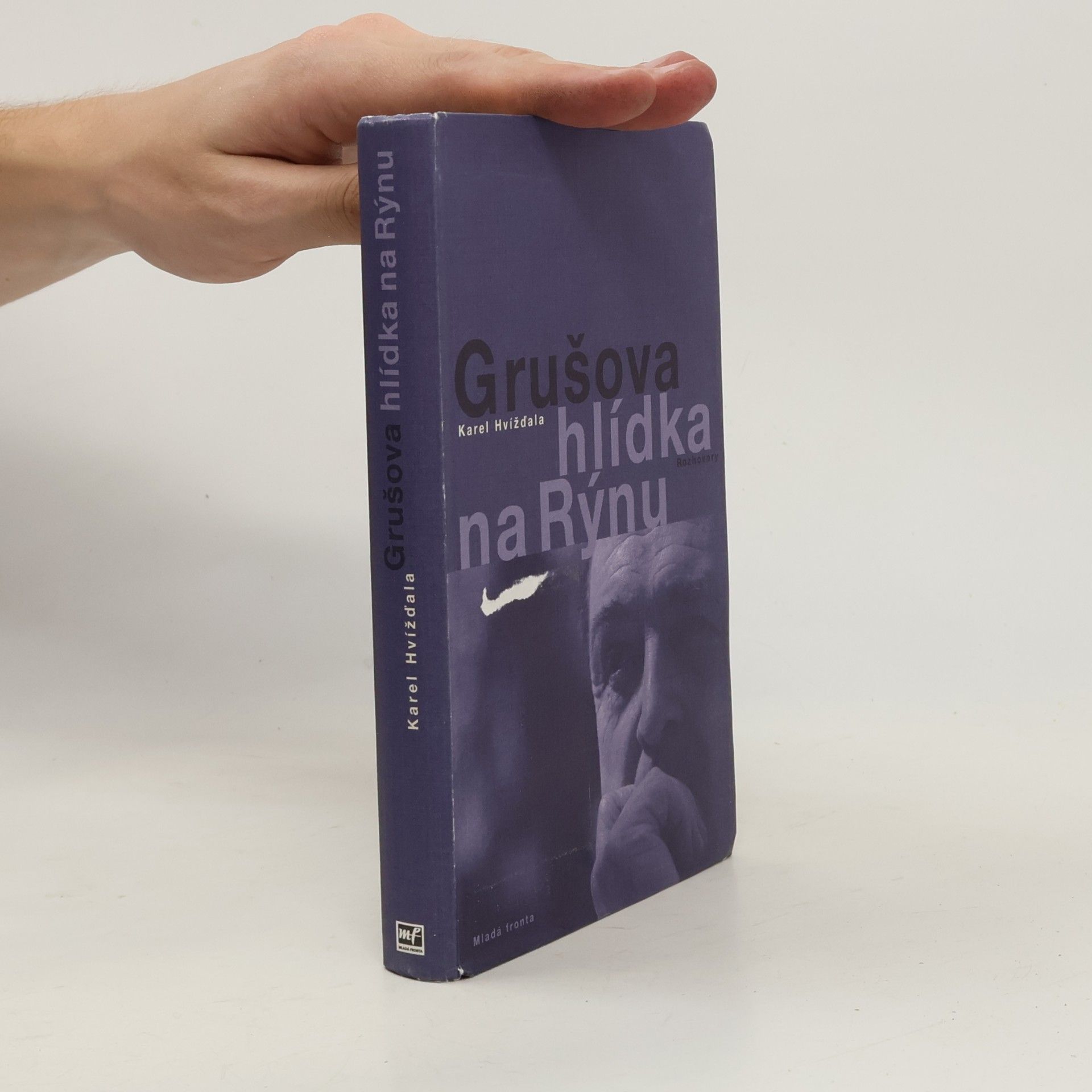 Jiří Gruša Grušova hlídka na Rýnu: Rozhovory z let 1983-2011