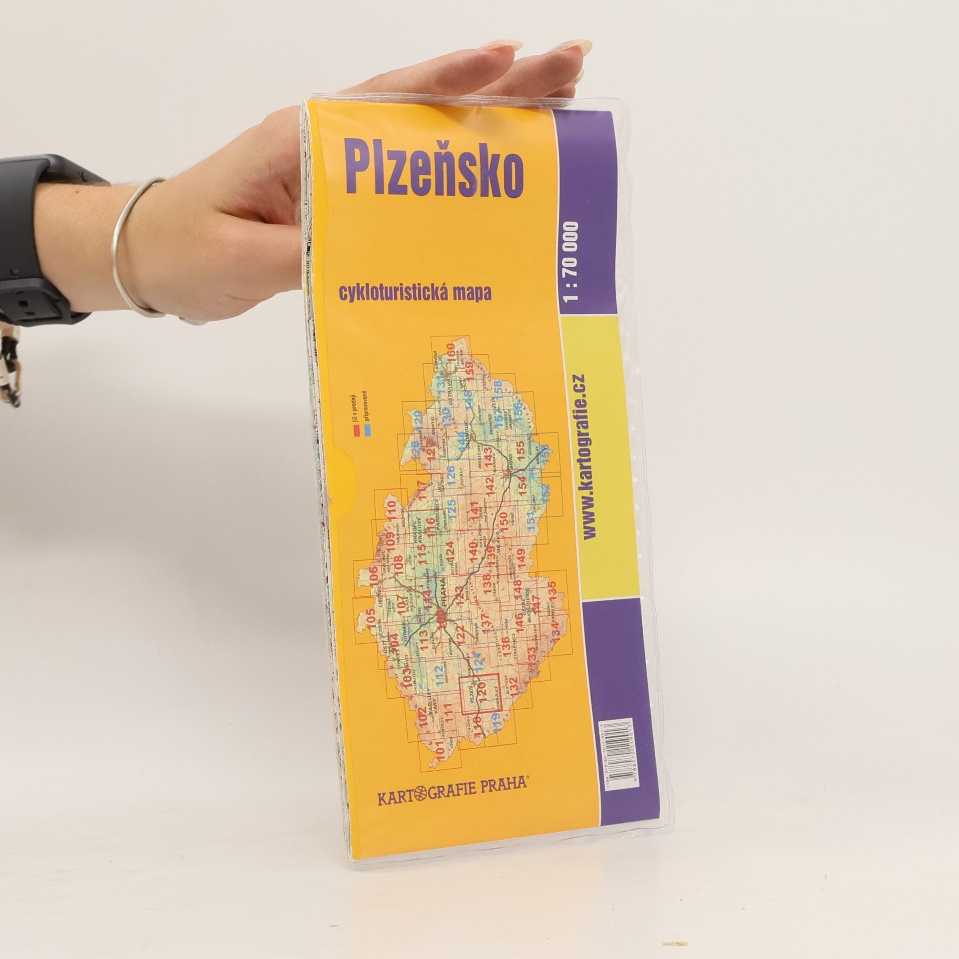 Plzeňsko